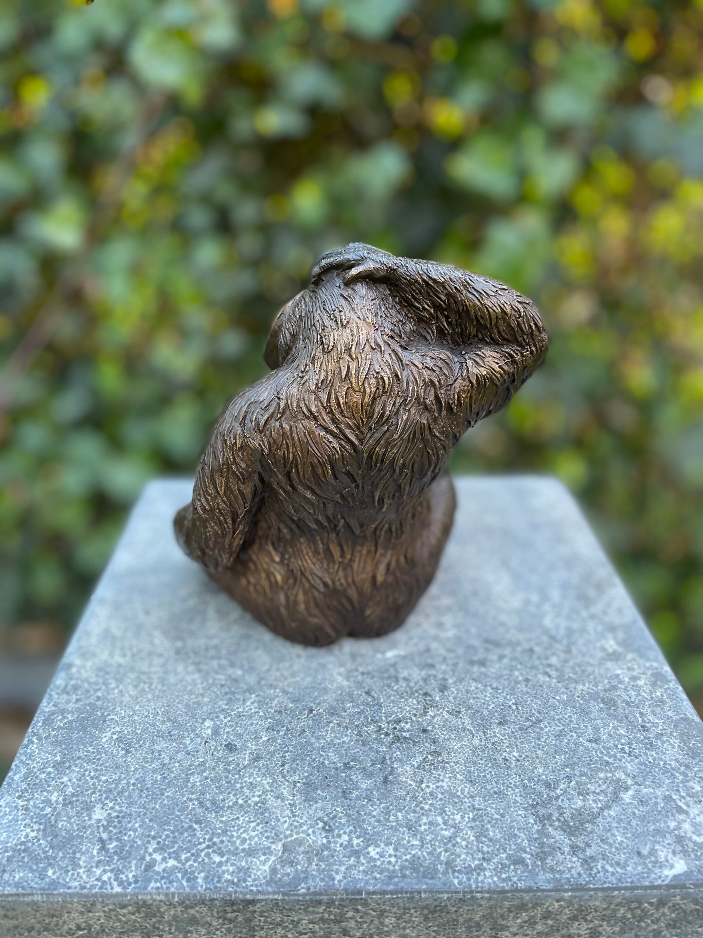 Curious Orangutan – Bronze Sculpture. 16x10x14cm - 1.1Kg