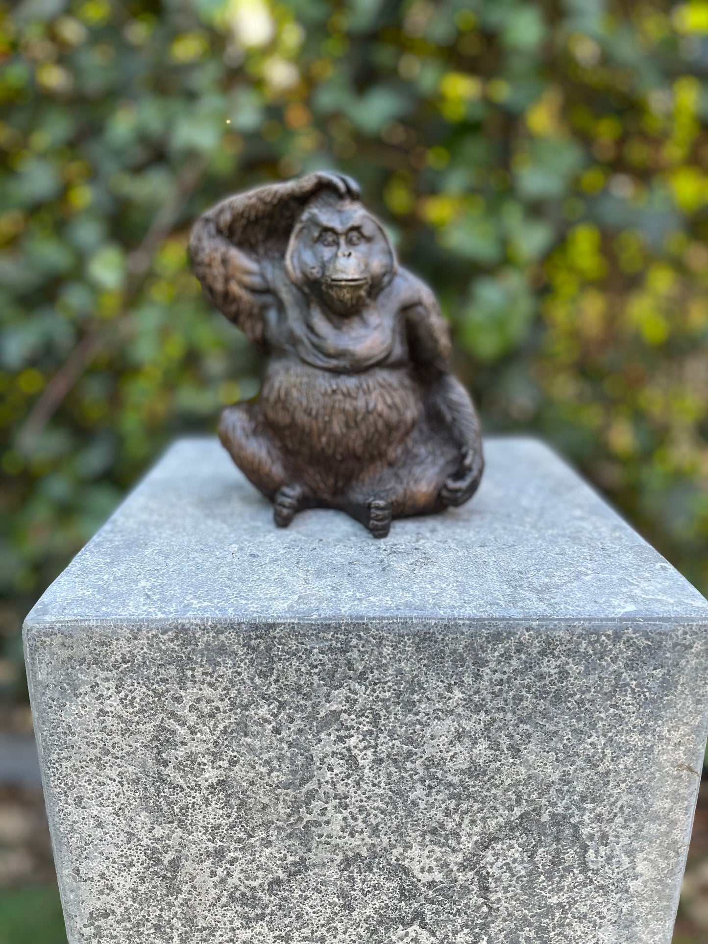Curious Orangutan – Bronze Sculpture. 16x10x14cm - 1.1Kg