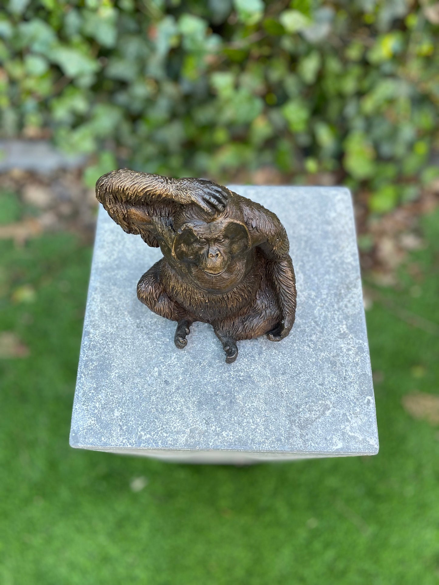 Curious Orangutan – Bronze Sculpture. 16x10x14cm - 1.1Kg