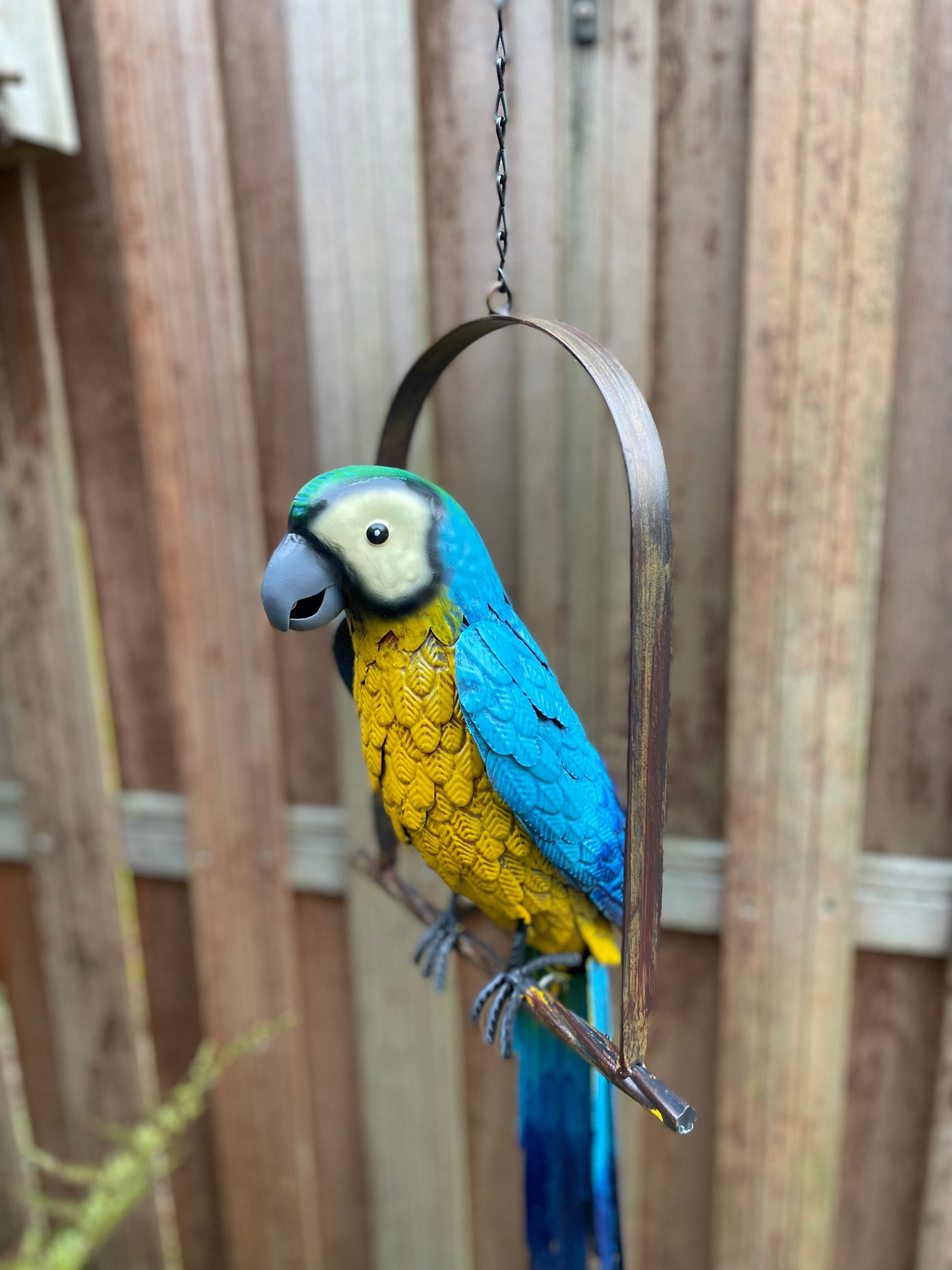 Hanging Macaw – Iron Sculpture. 28x16x95cm - 1Kg