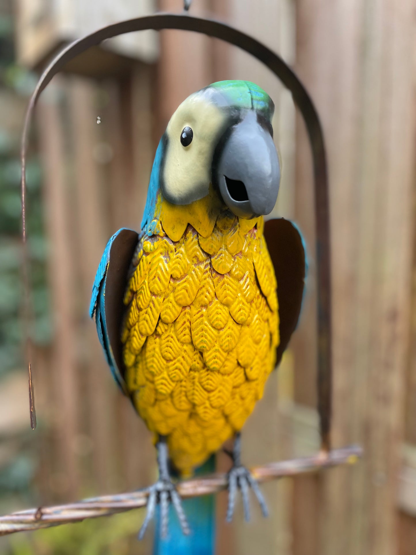 Hanging Macaw – Iron Sculpture. 28x16x95cm - 1Kg
