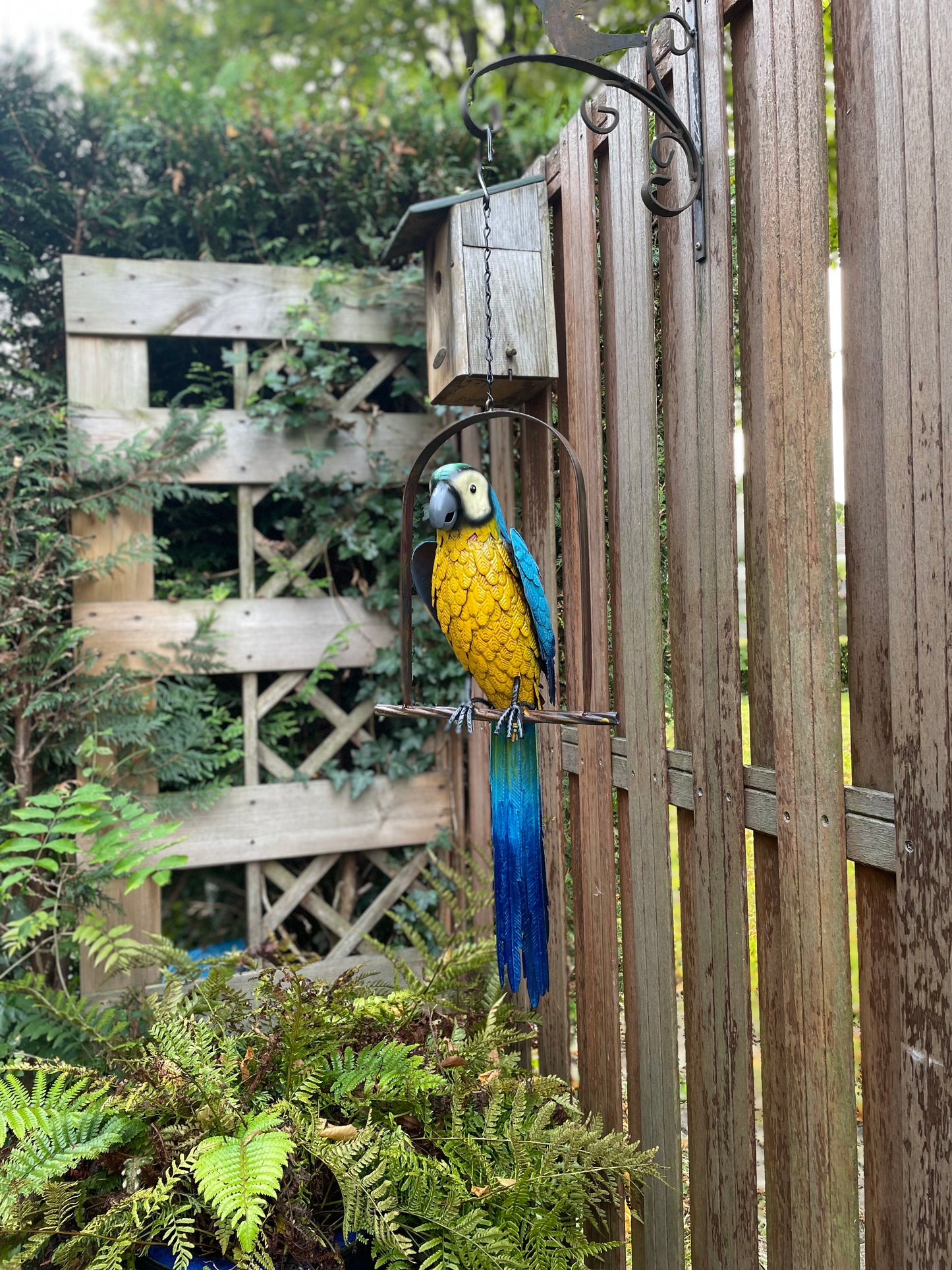 Hanging Macaw – Iron Sculpture. 28x16x95cm - 1Kg