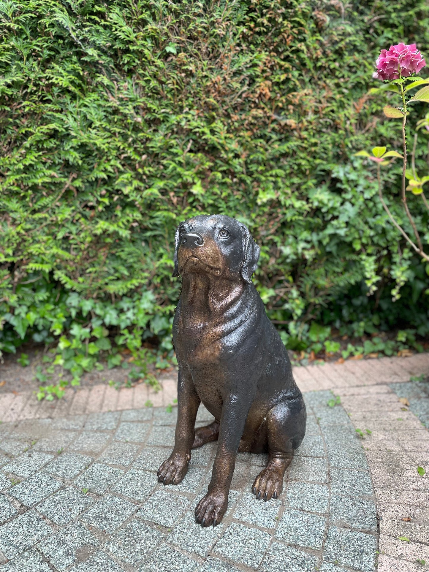 Loyal Companion – Bronze Sculpture. 44x35x64cm - 11Kg