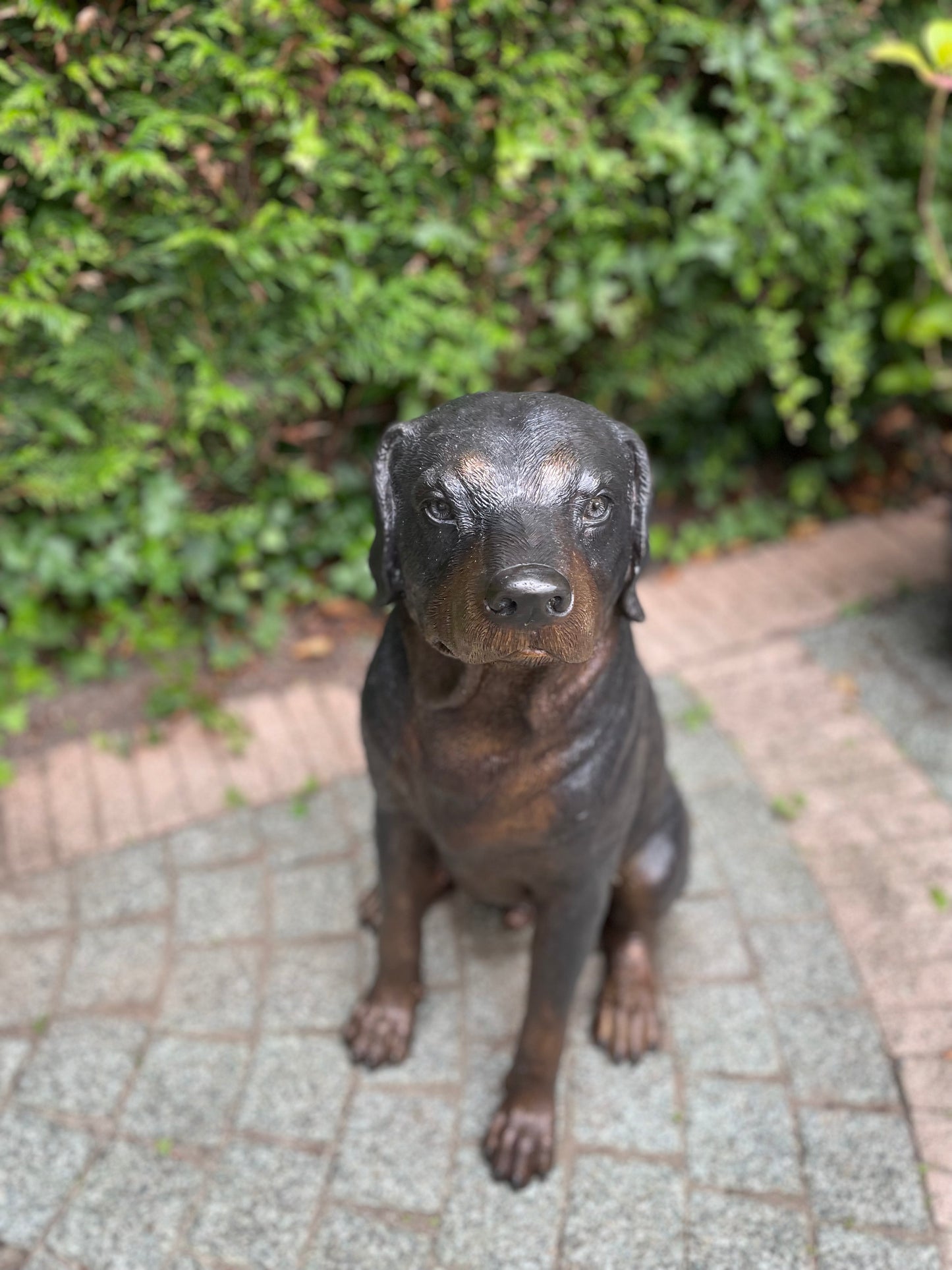 Loyal Companion – Bronze Sculpture. 44x35x64cm - 11Kg