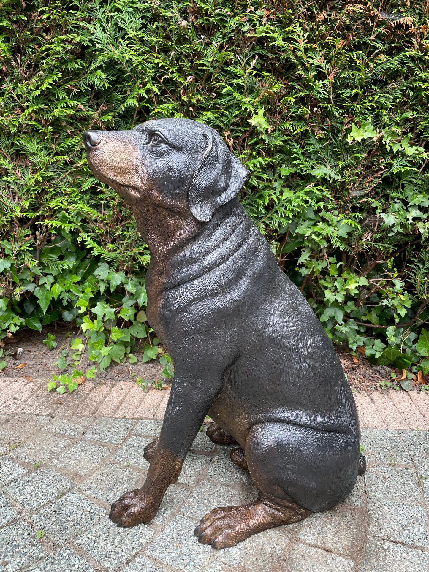 Loyal Companion – Bronze Sculpture. 44x35x64cm - 11Kg