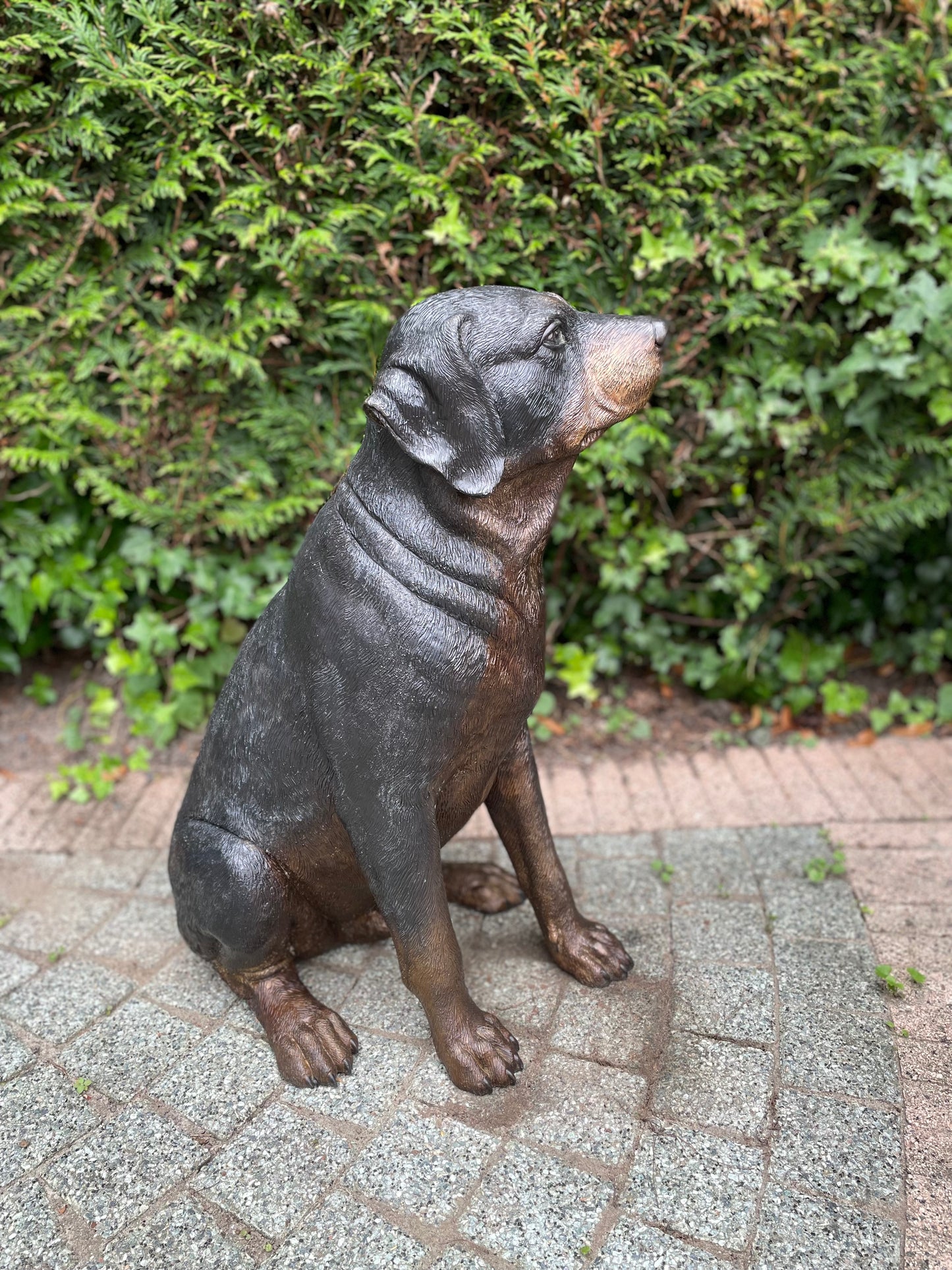 Loyal Companion – Bronze Sculpture. 44x35x64cm - 11Kg