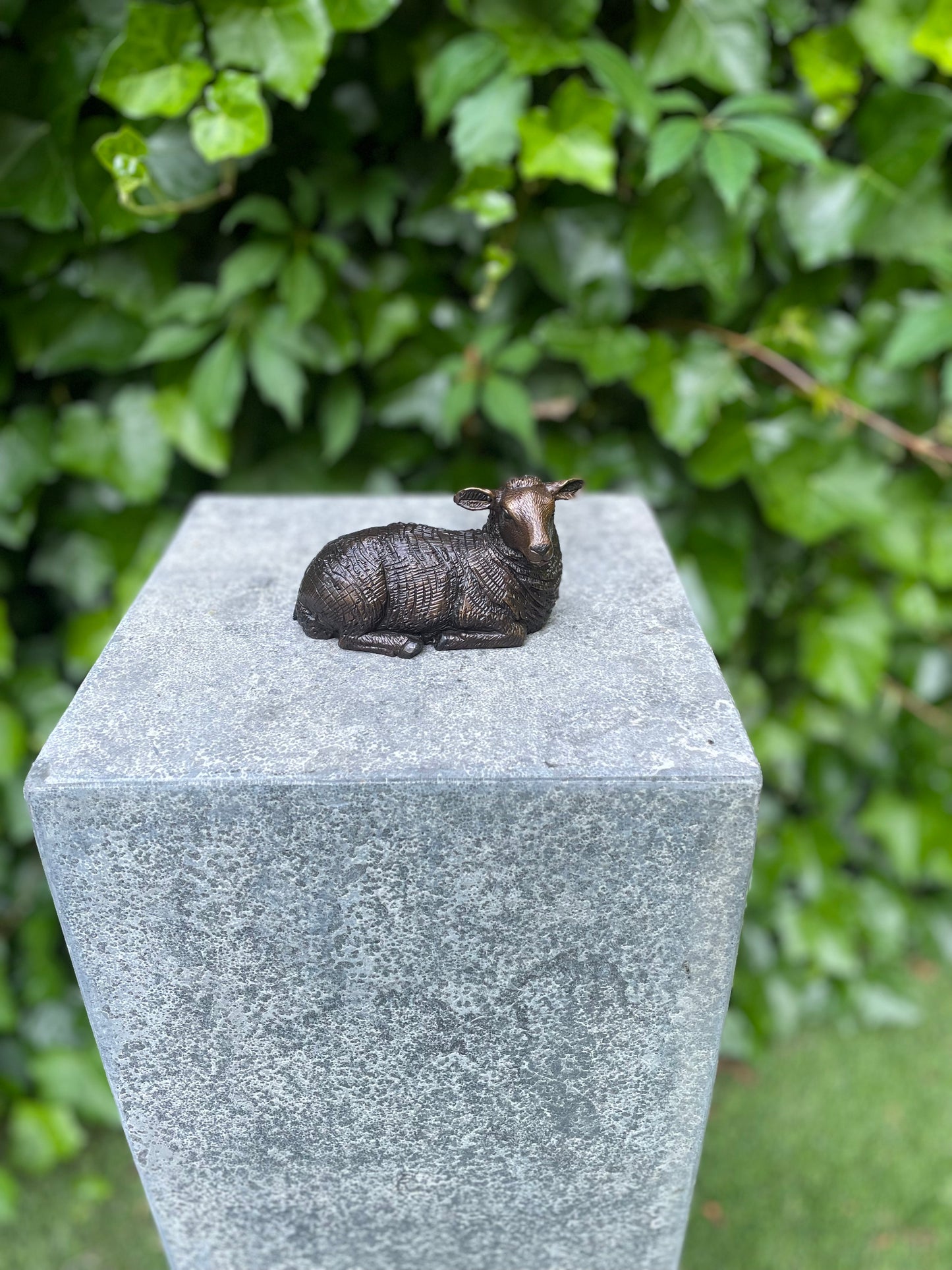 Resting Sheep – Bronze Sculpture. 12x5x7cm - 0.4Kg