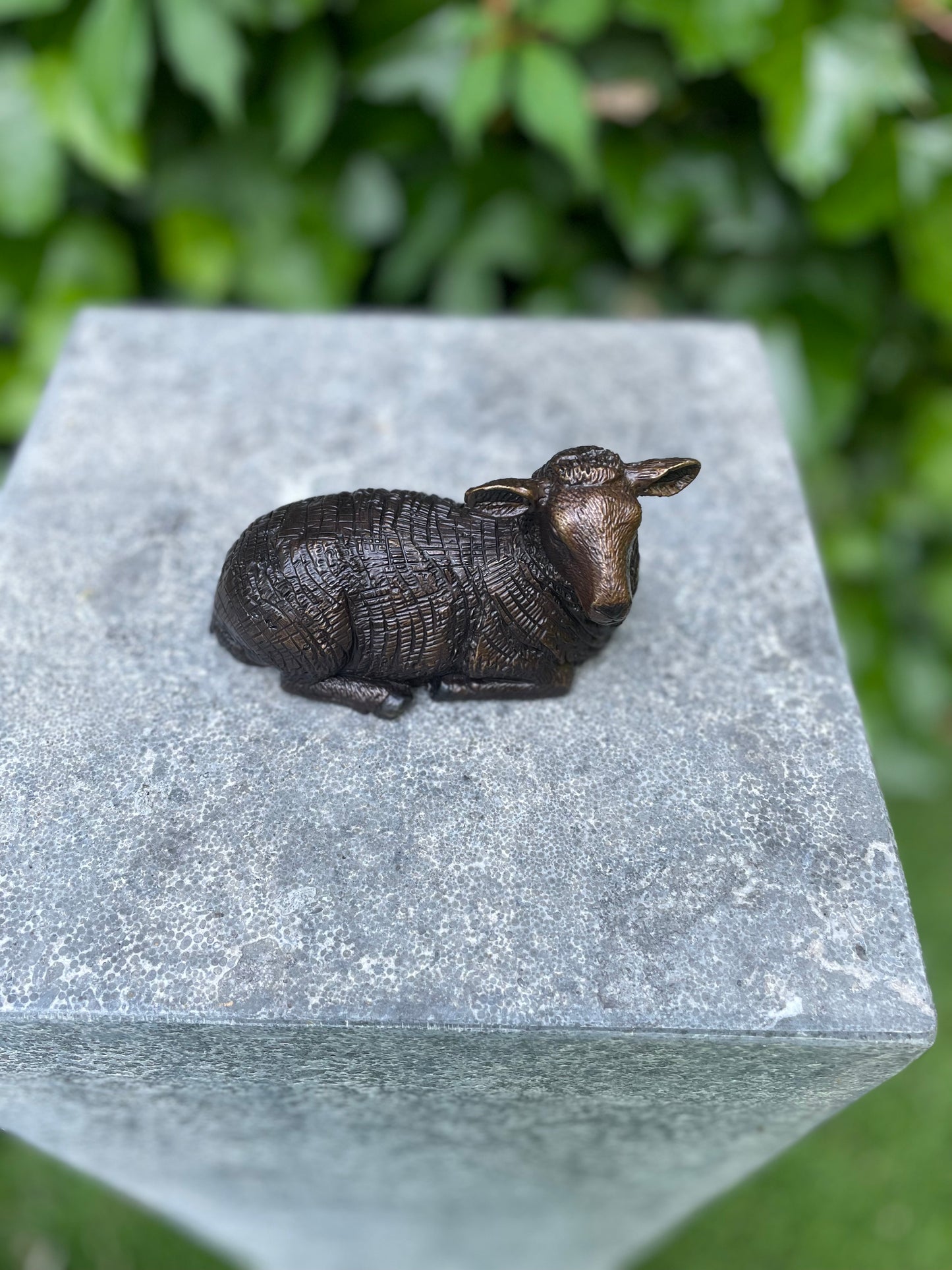 Resting Sheep – Bronze Sculpture. 12x5x7cm - 0.4Kg