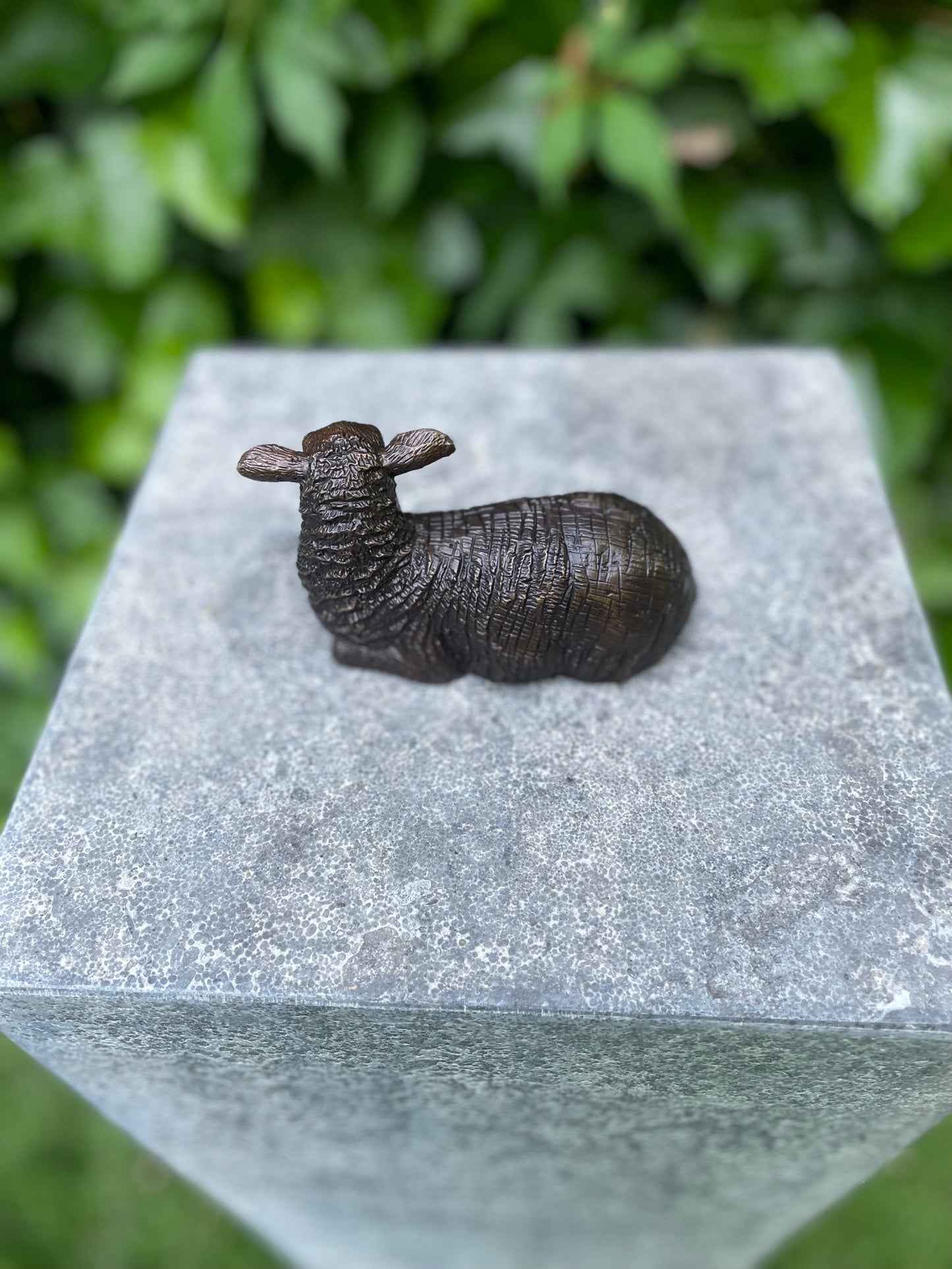 Resting Sheep – Bronze Sculpture. 12x5x7cm - 0.4Kg