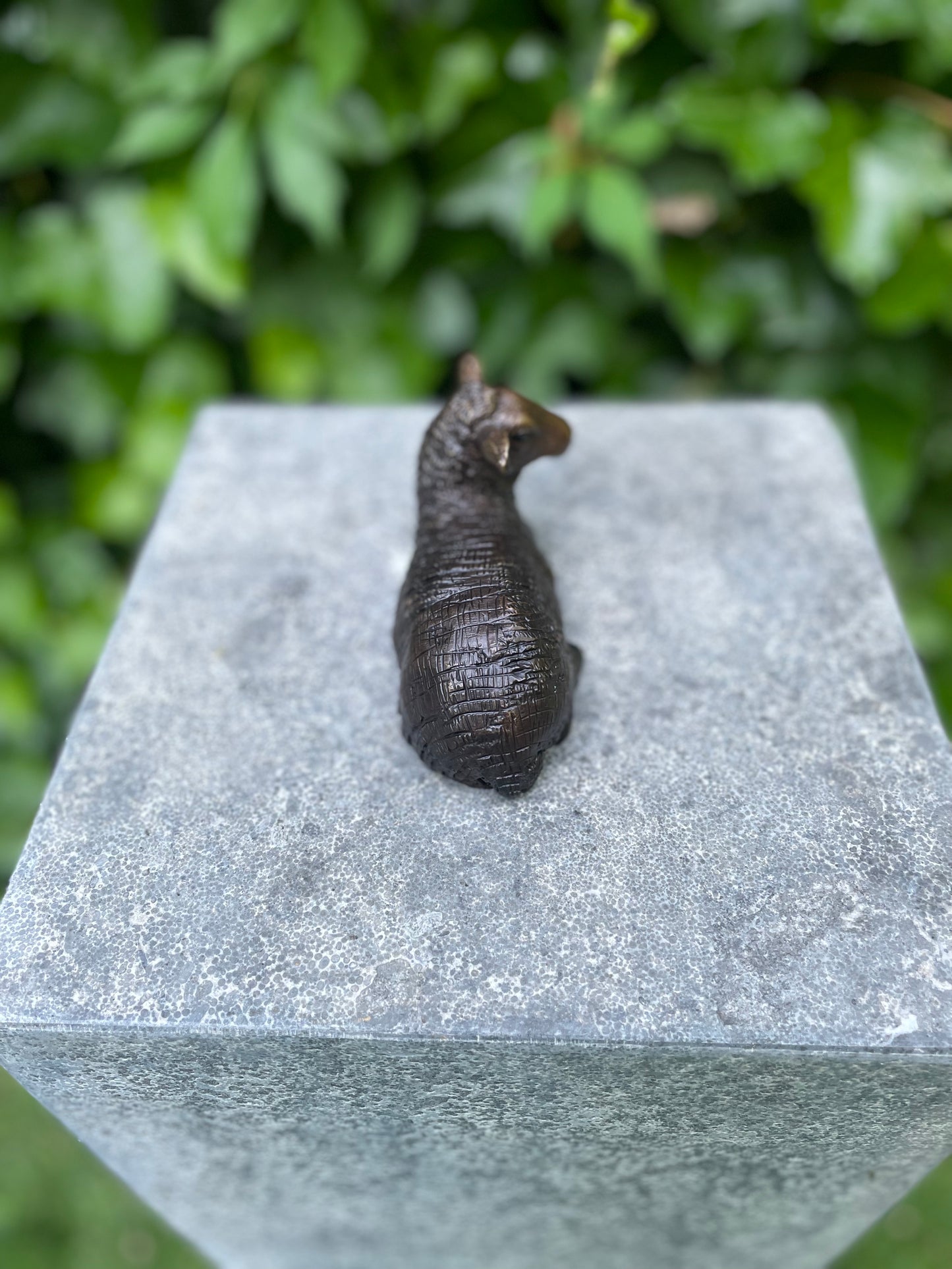 Resting Sheep – Bronze Sculpture. 12x5x7cm - 0.4Kg