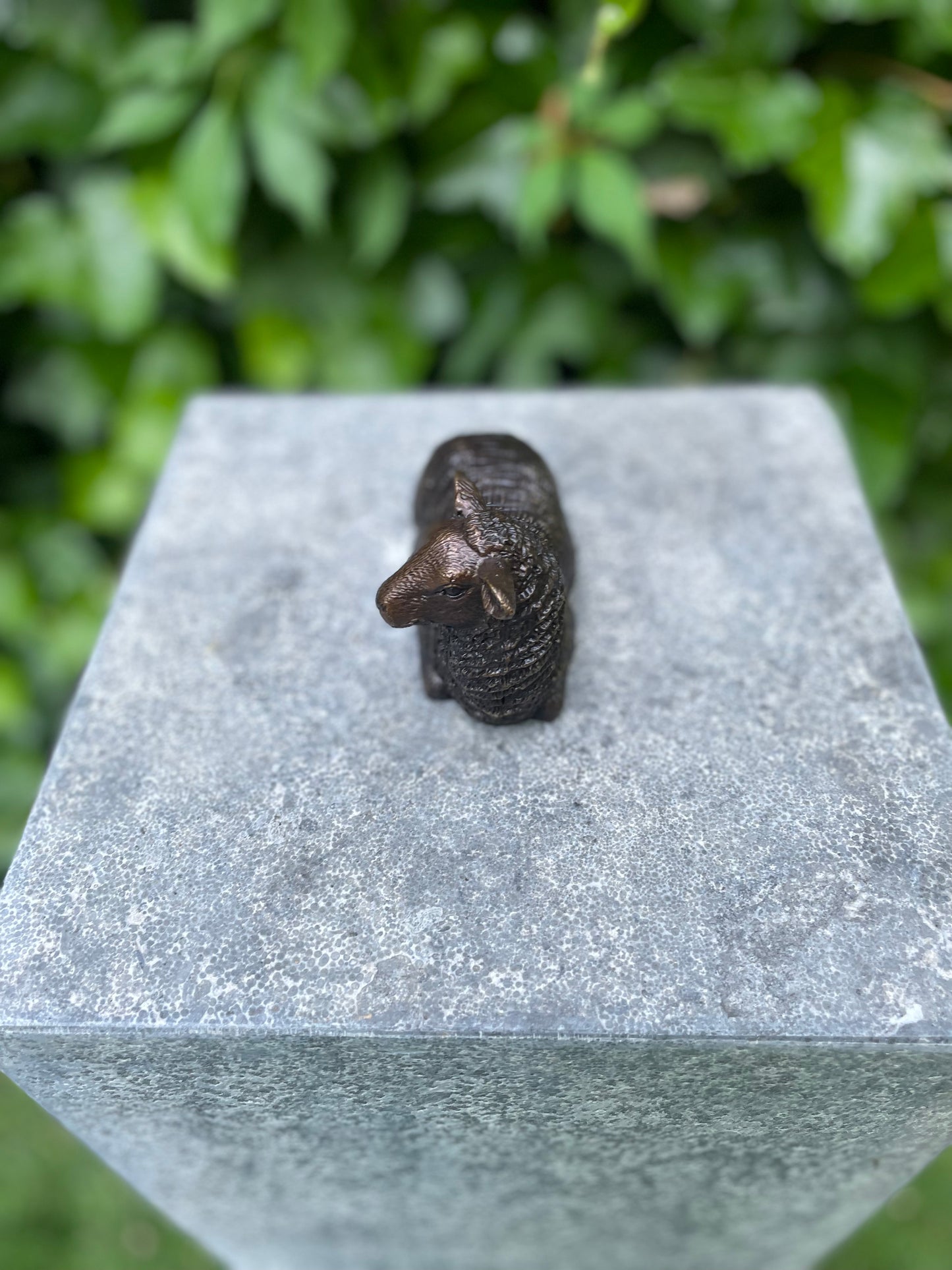 Resting Sheep – Bronze Sculpture. 12x5x7cm - 0.4Kg
