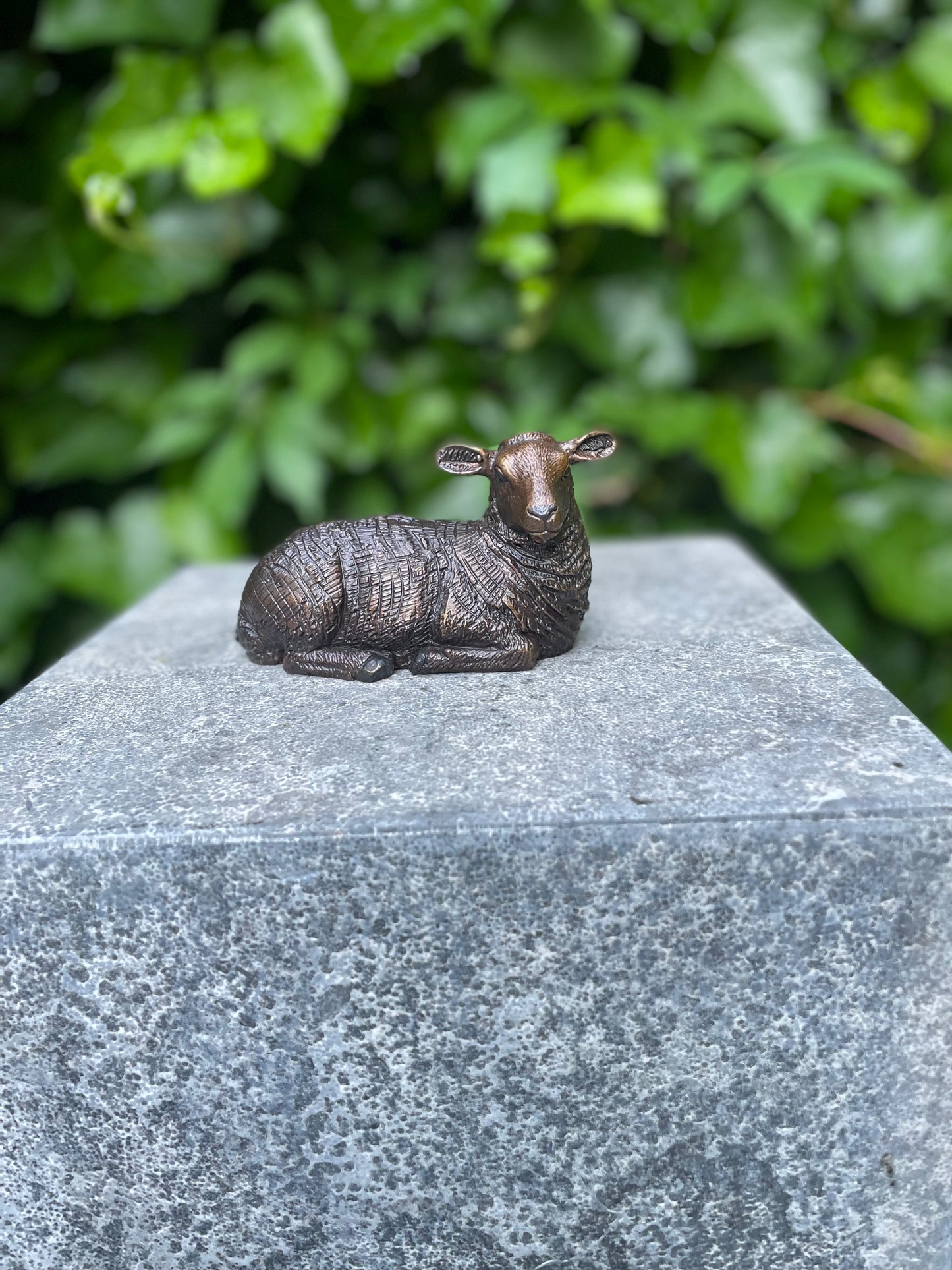 Resting Sheep – Bronze Sculpture. 12x5x7cm - 0.4Kg