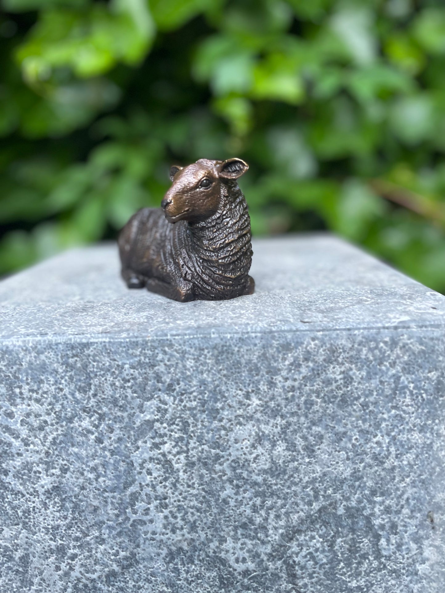 Resting Sheep – Bronze Sculpture. 12x5x7cm - 0.4Kg