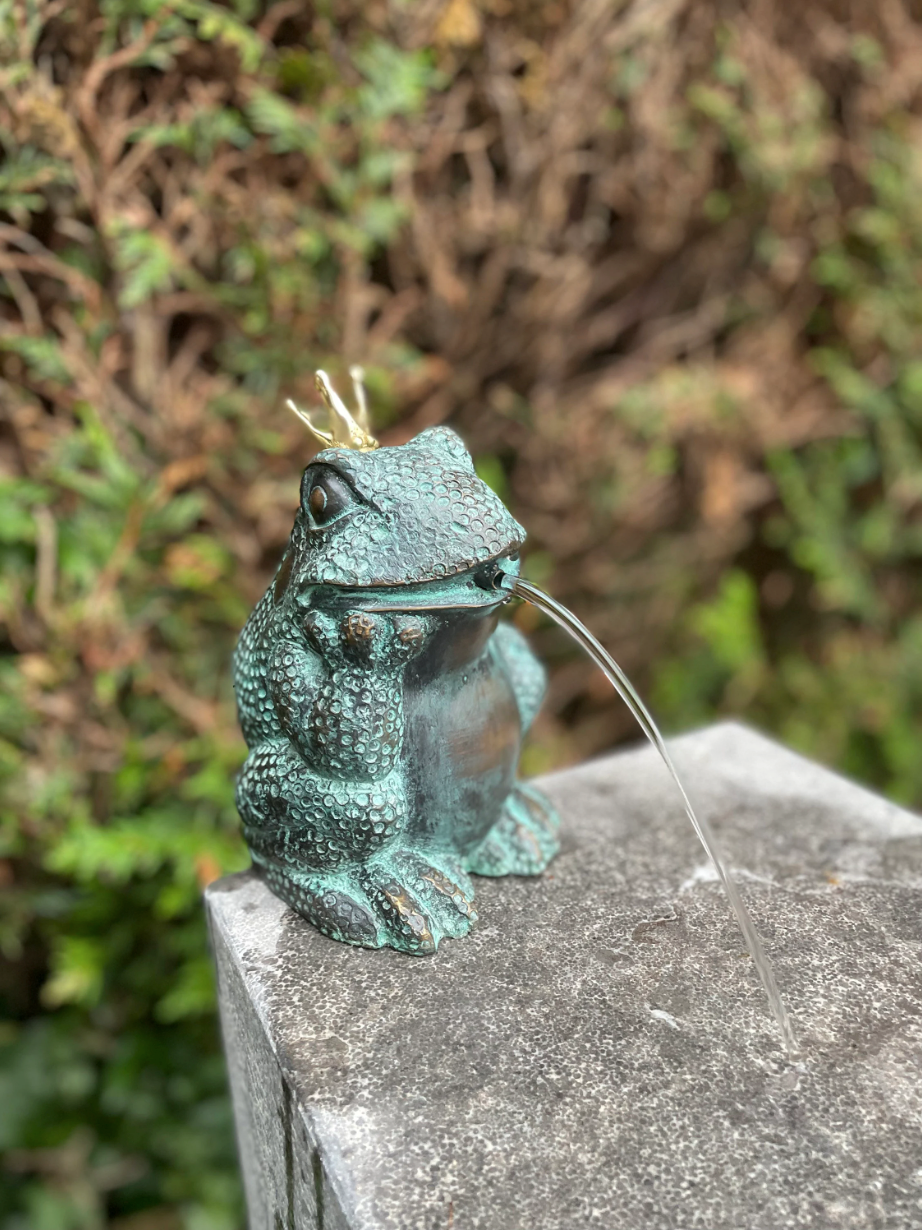Frog King – Bronze Sculpture. 13x11x17cm - 1.4Kg