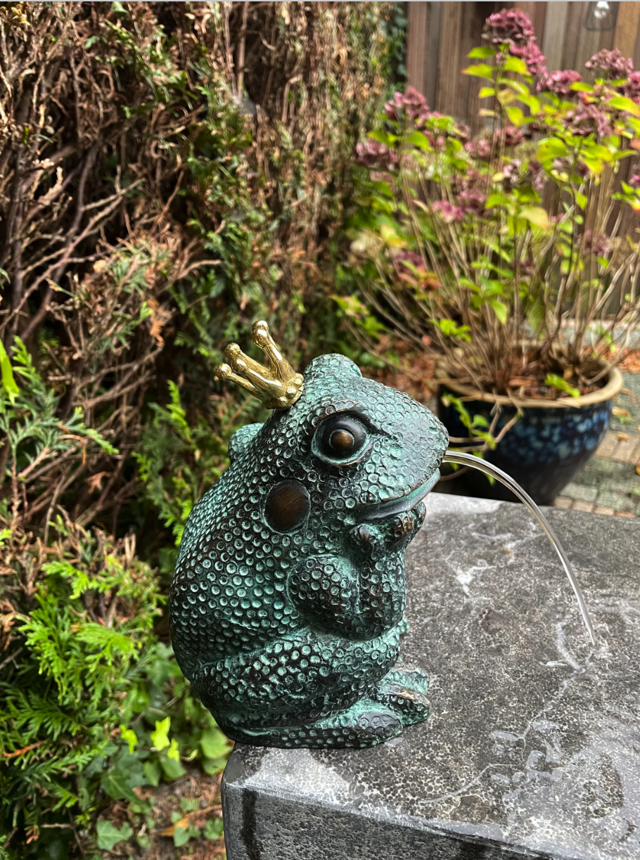 Frog King – Bronze Sculpture. 13x11x17cm - 1.4Kg