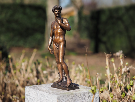 David – Bronze Sculpture. 32x9x8cm - 2Kg