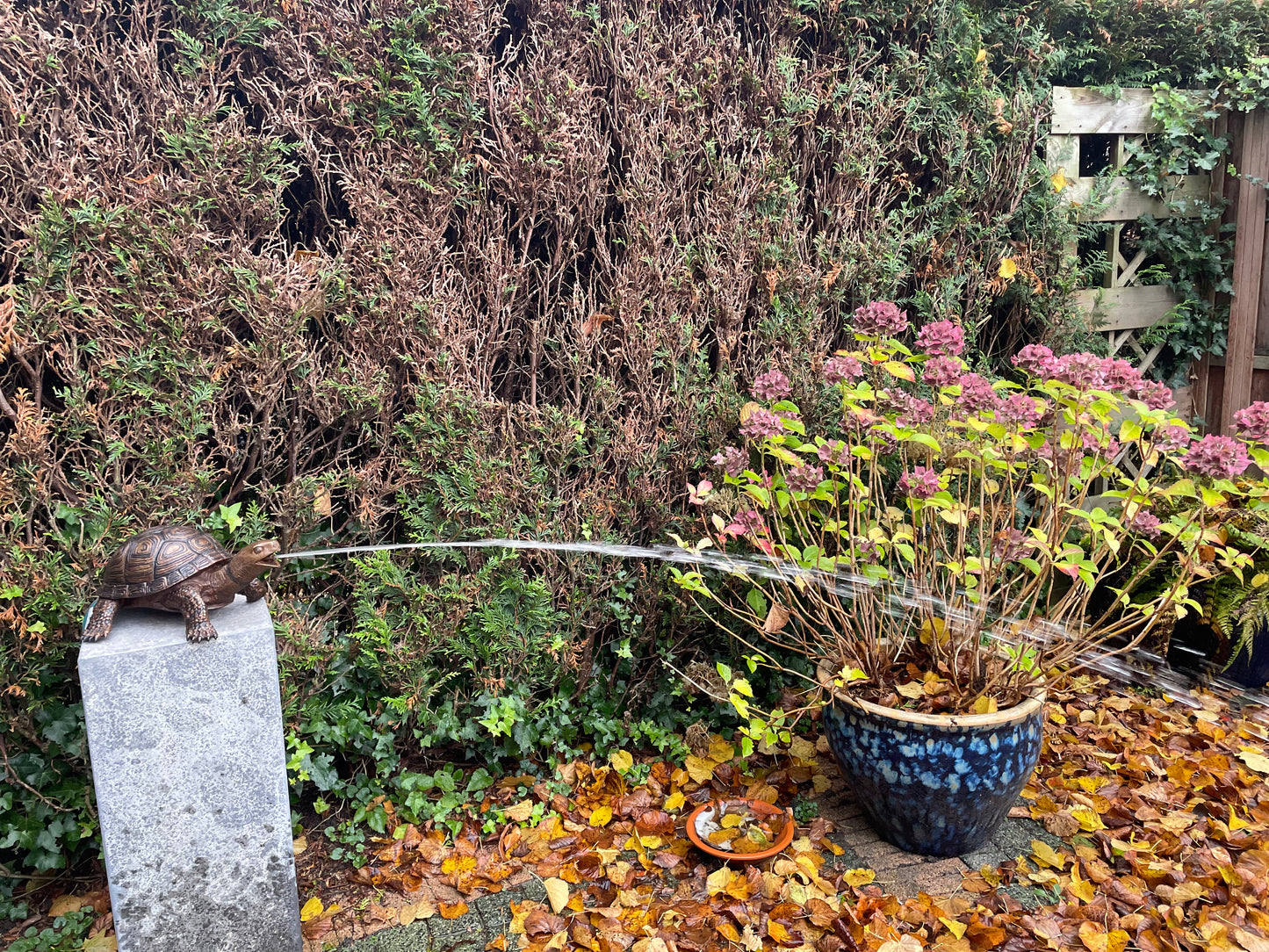Fountain Turtle – Bronze Sculpture. 34x26x14cm - 3.5Kg