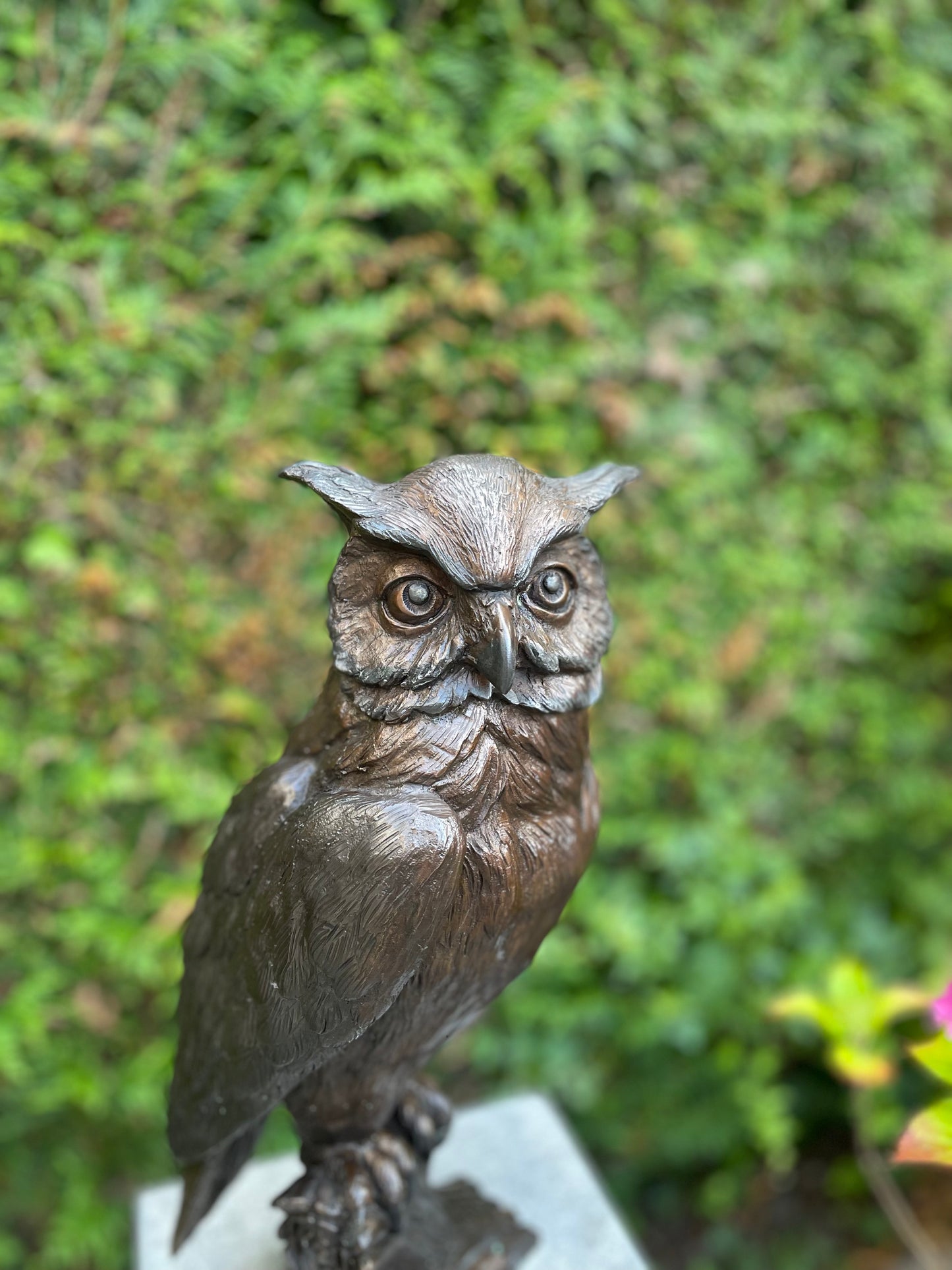 Owl on Watch – Bronze Sculpture. 20x17x42cm - 6Kg
