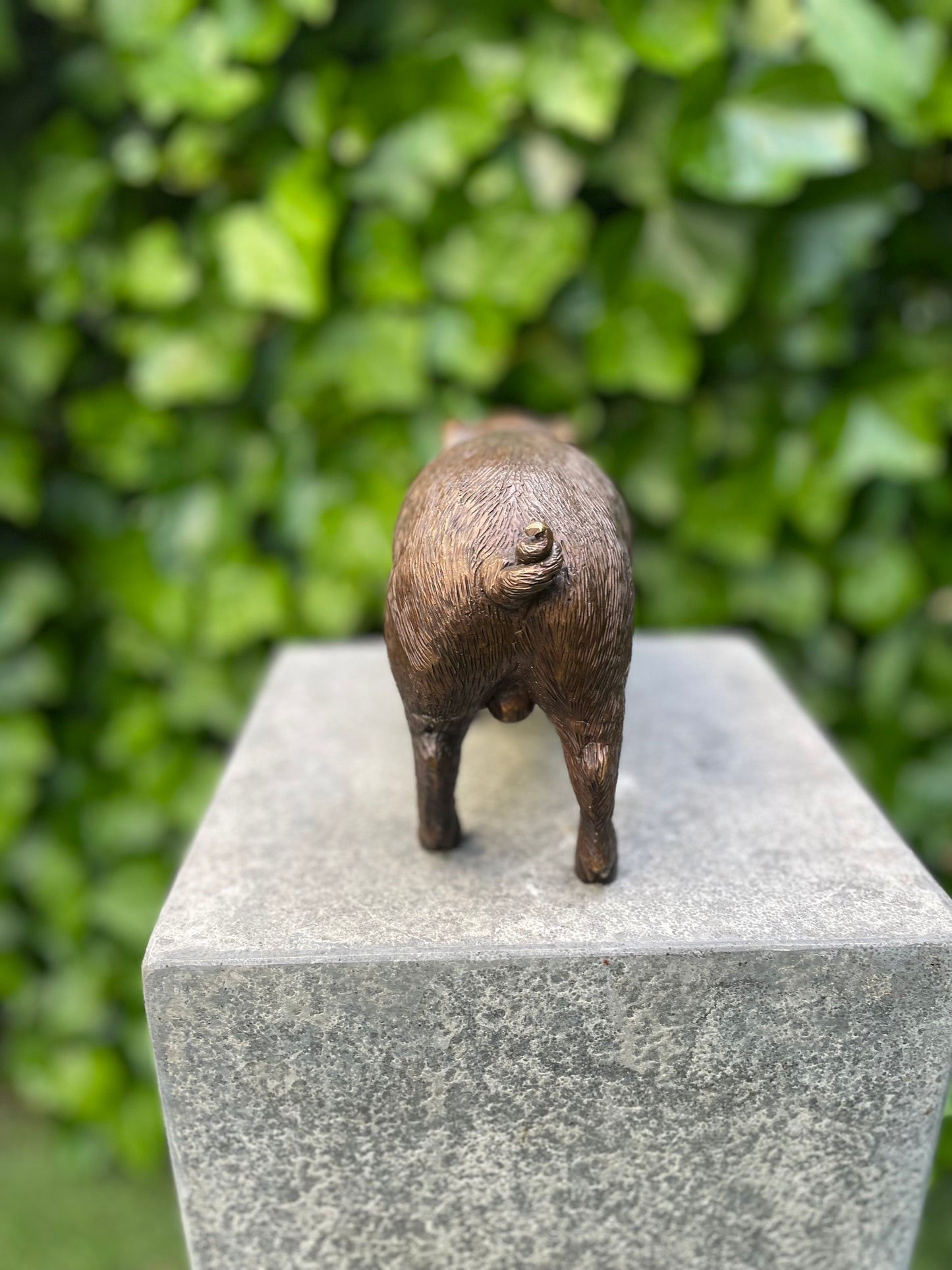 Standing Piglet – Bronze Sculpture. 25x8x12cm - 1.4Kg