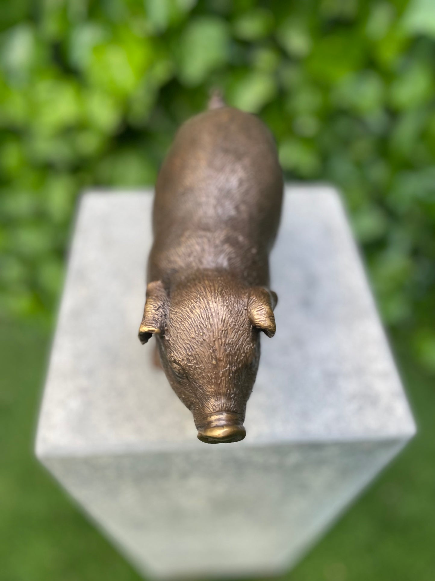 Standing Piglet – Bronze Sculpture. 25x8x12cm - 1.4Kg