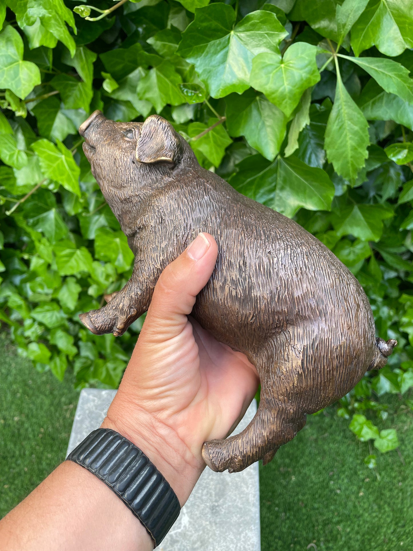 Standing Piglet – Bronze Sculpture. 25x8x12cm - 1.4Kg