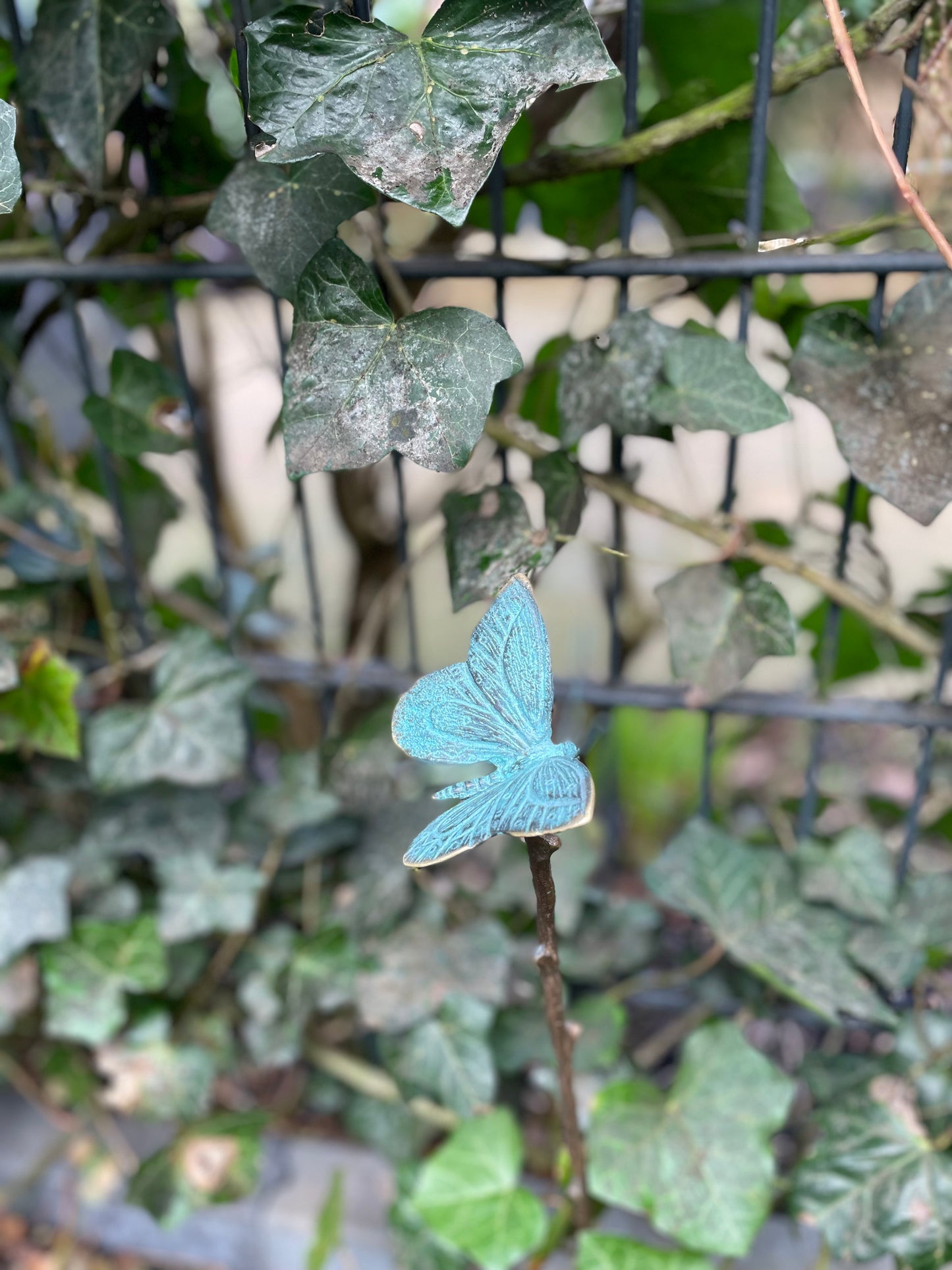 Garden Butterfly – Bronze Sculpture. 10x10x60cm