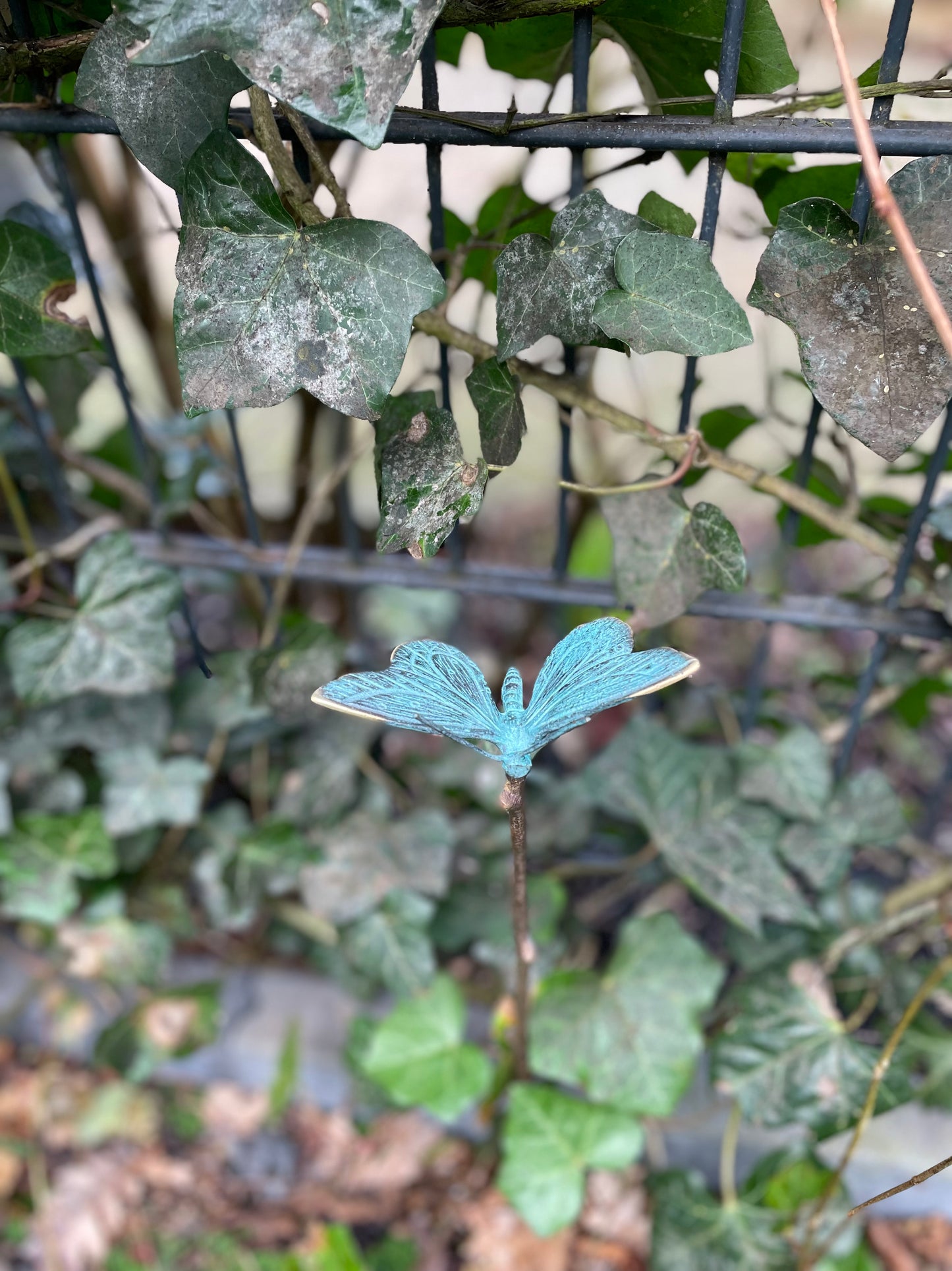 Garden Butterfly – Bronze Sculpture. 10x10x60cm