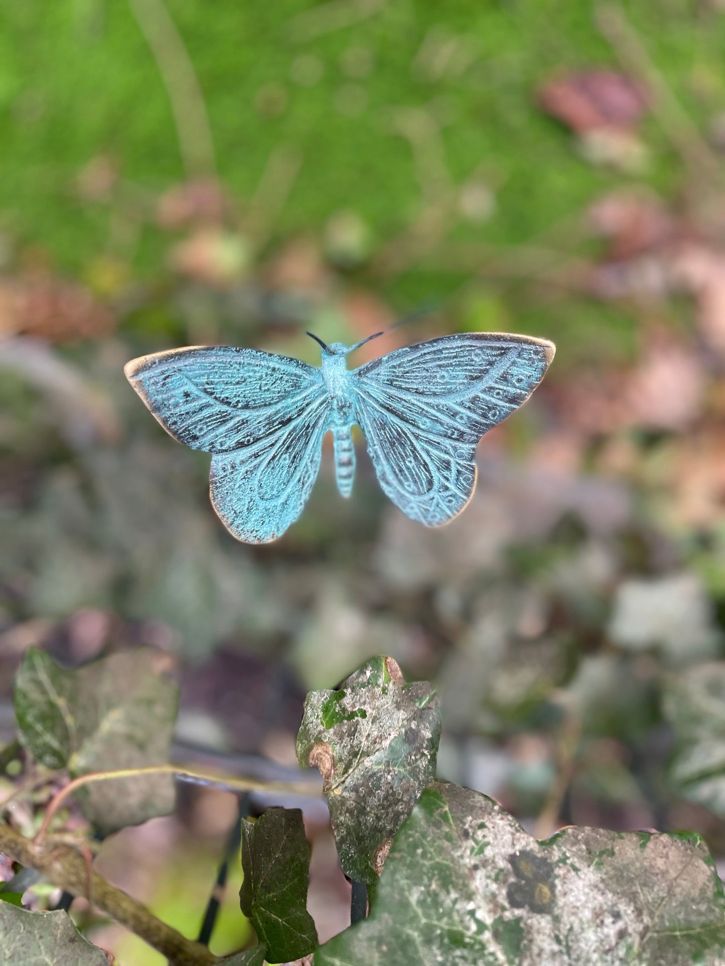 Garden Butterfly – Bronze Sculpture. 10x10x60cm