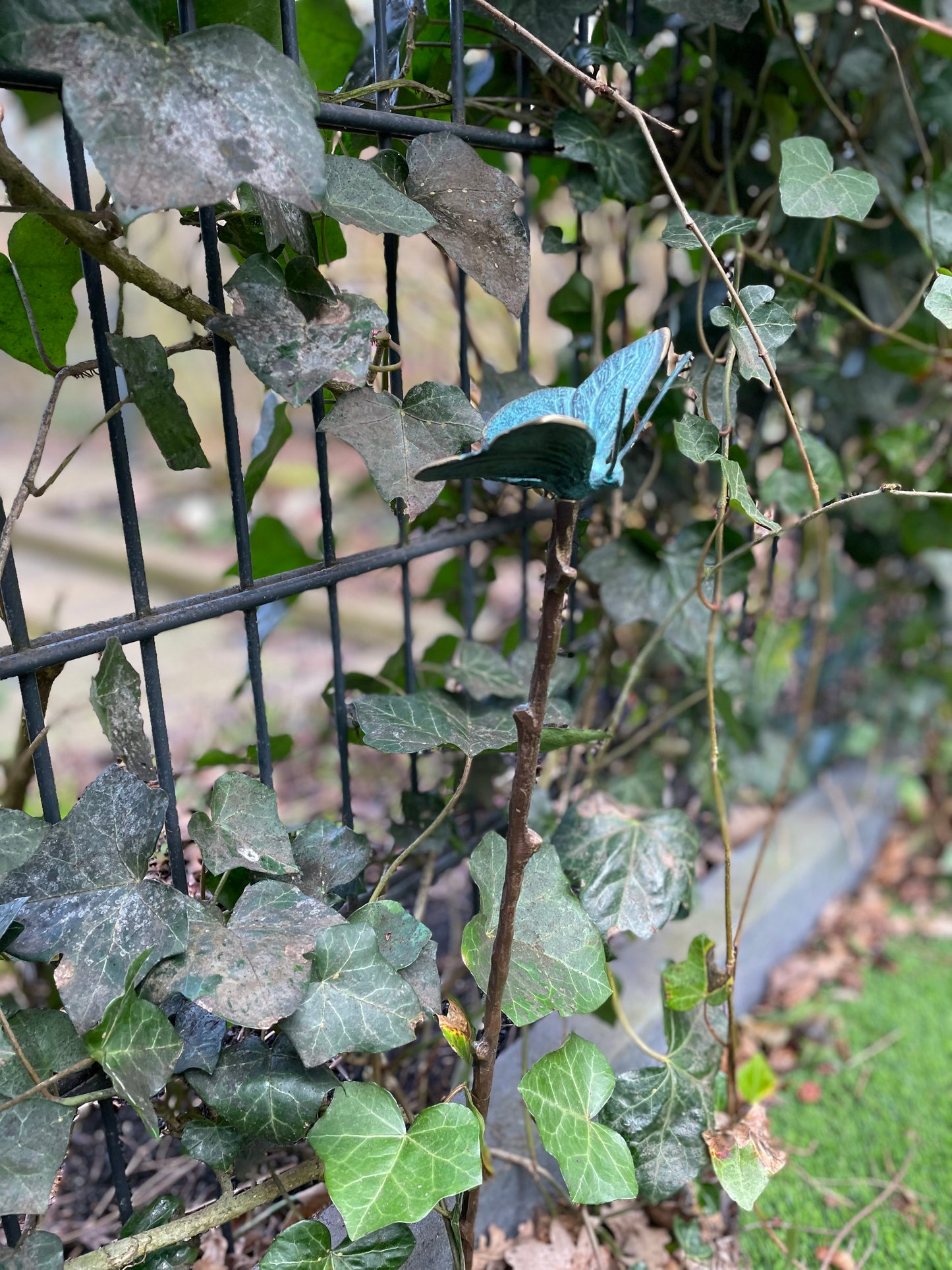 Garden Butterfly – Bronze Sculpture. 10x10x60cm