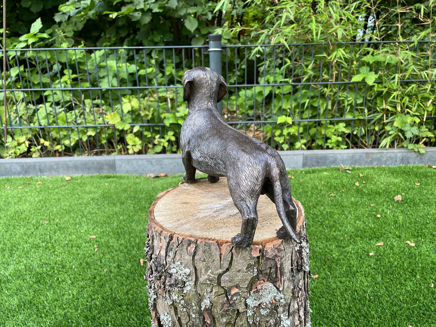 Alert Dachshund – Bronze Sculpture. 30x8x18cm