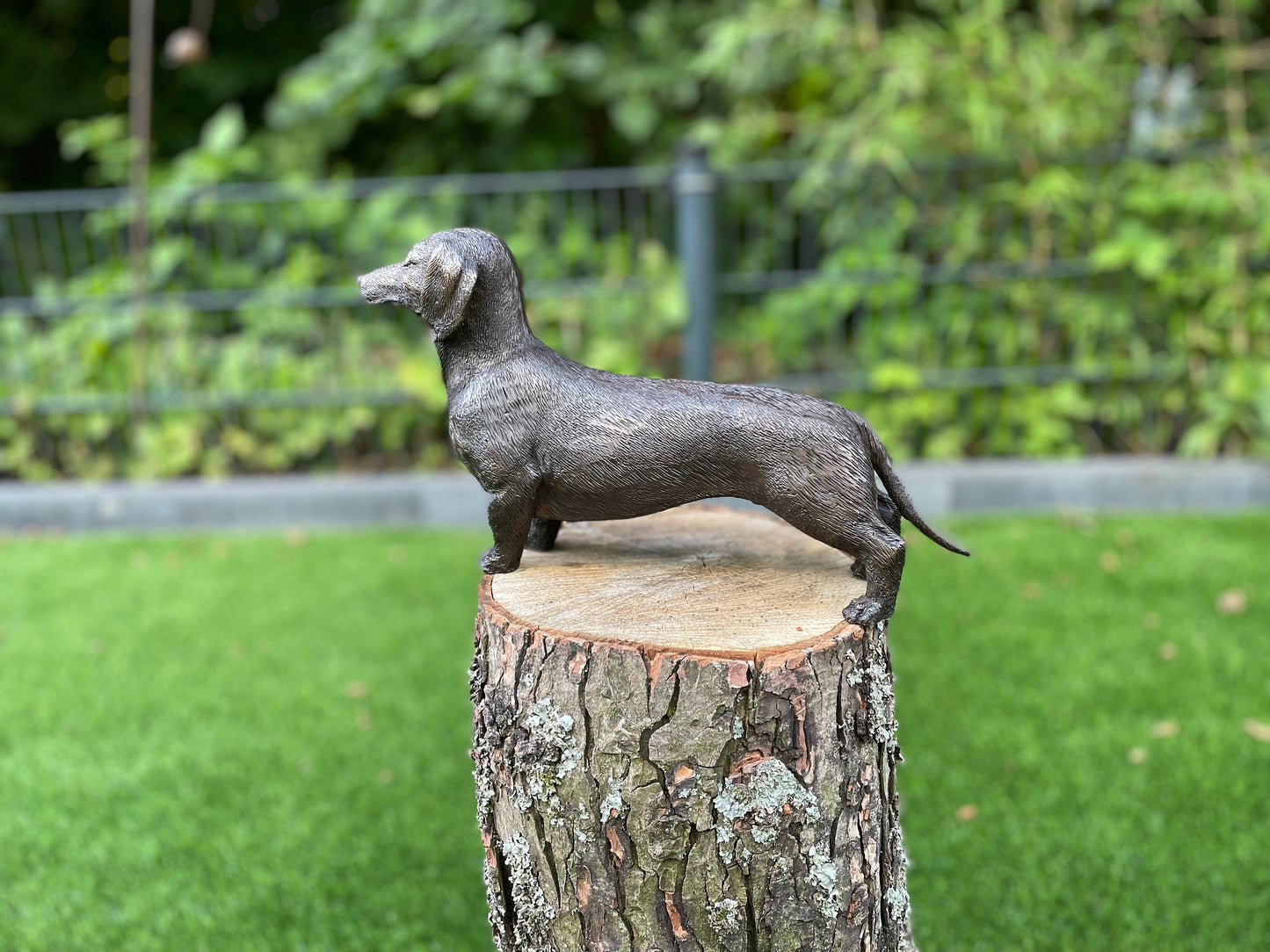 Alert Dachshund – Bronze Sculpture. 30x8x18cm