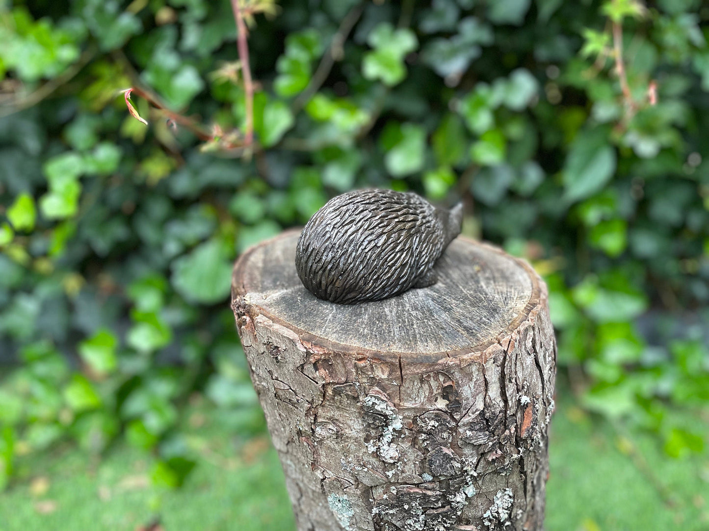 Little Hedgehog – Bronze Sculpture. 14x6x7cm