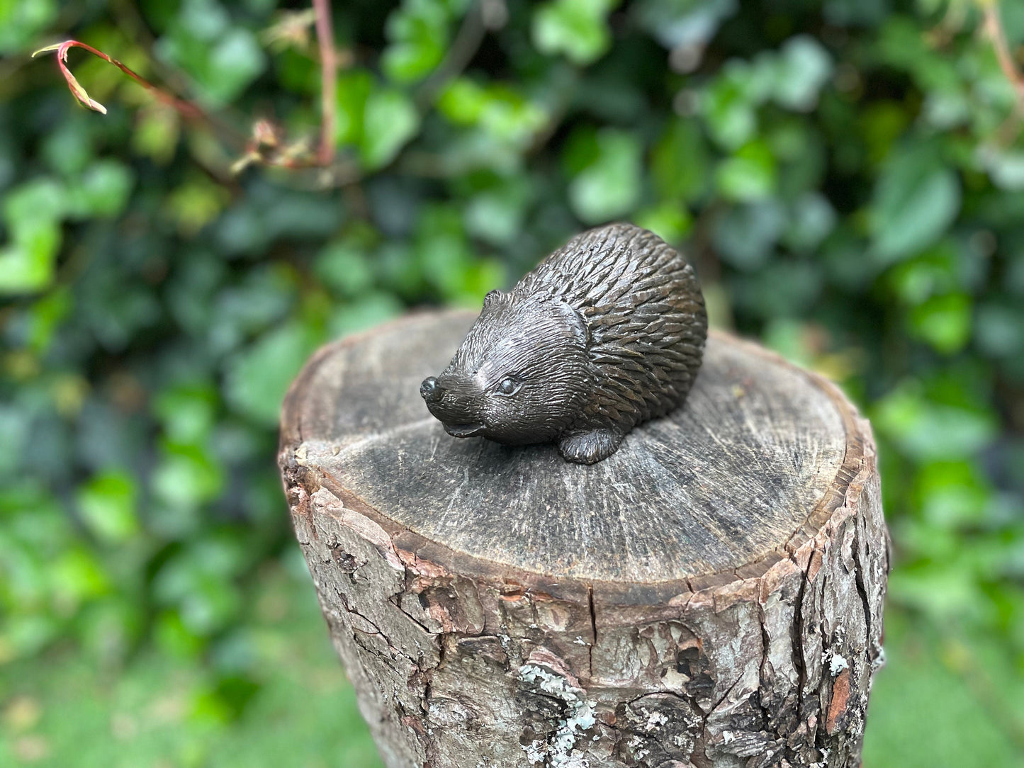 Little Hedgehog – Bronze Sculpture. 14x6x7cm