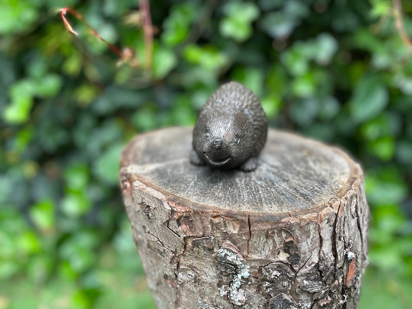 Little Hedgehog – Bronze Sculpture. 14x6x7cm