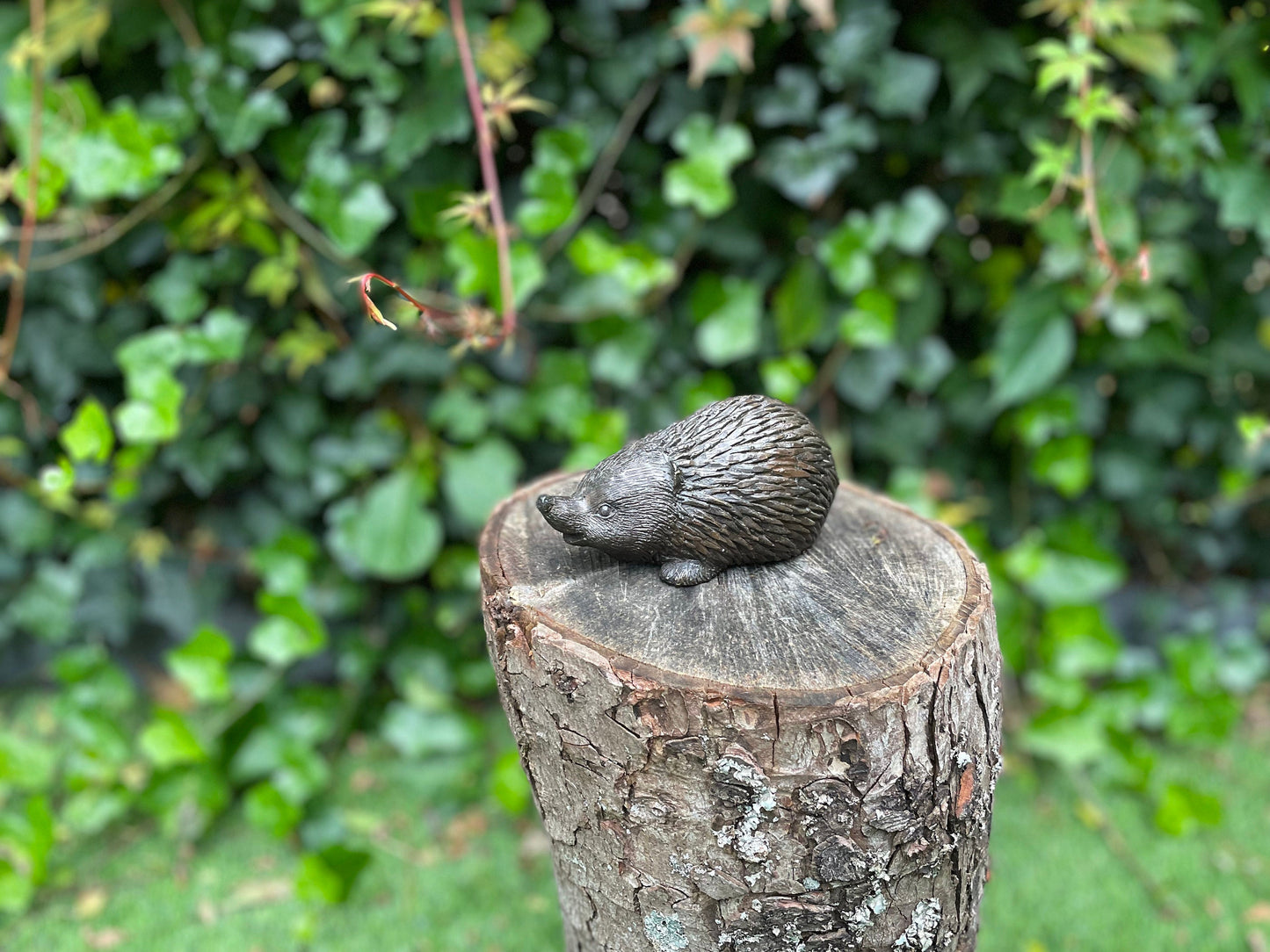Little Hedgehog – Bronze Sculpture. 14x6x7cm