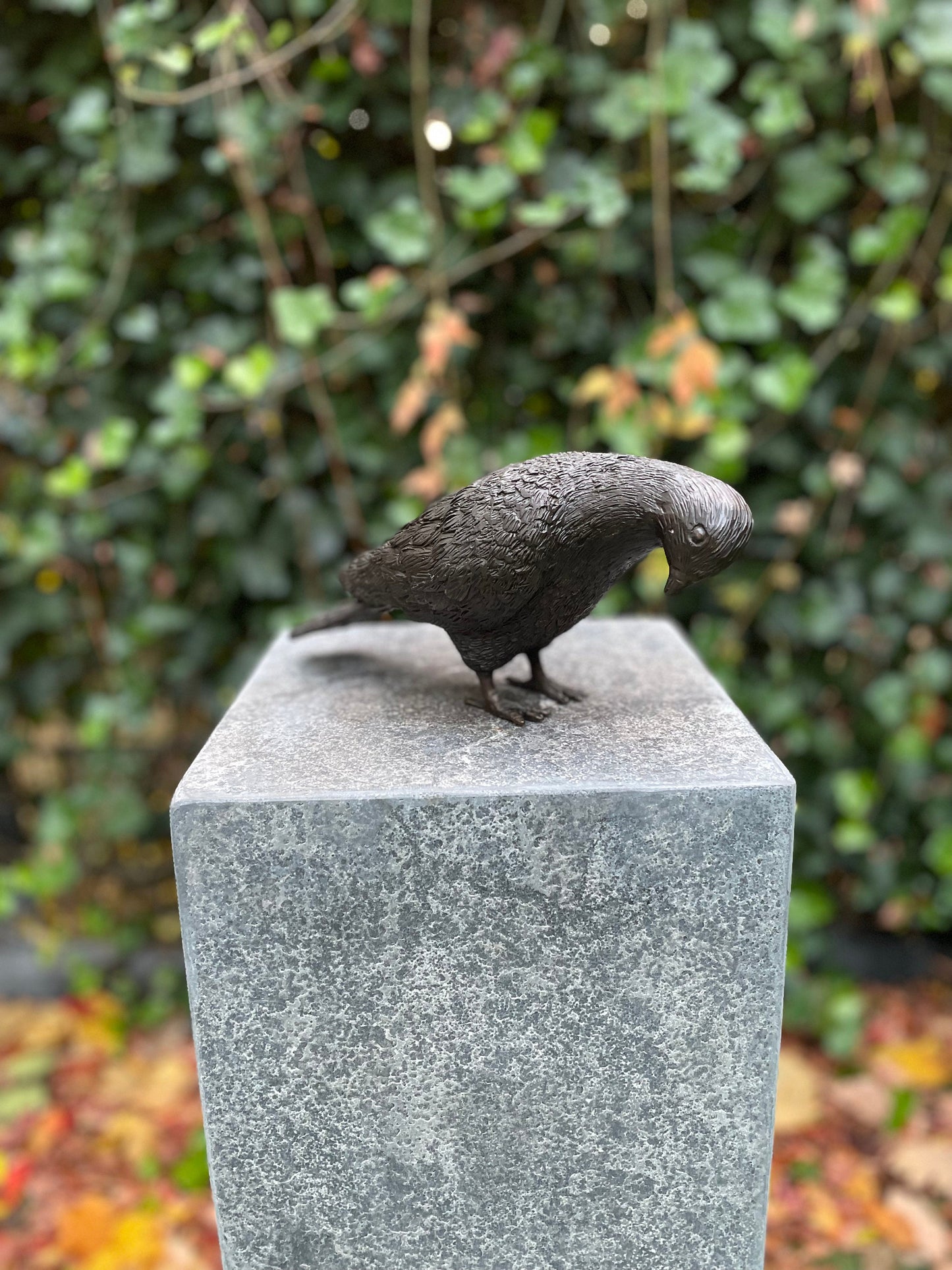 Garden Dove – Bronze Sculpture. 22x9x18cm
