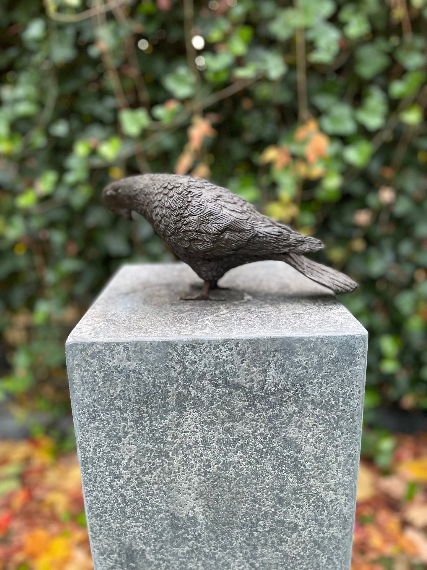 Garden Dove – Bronze Sculpture. 22x9x18cm