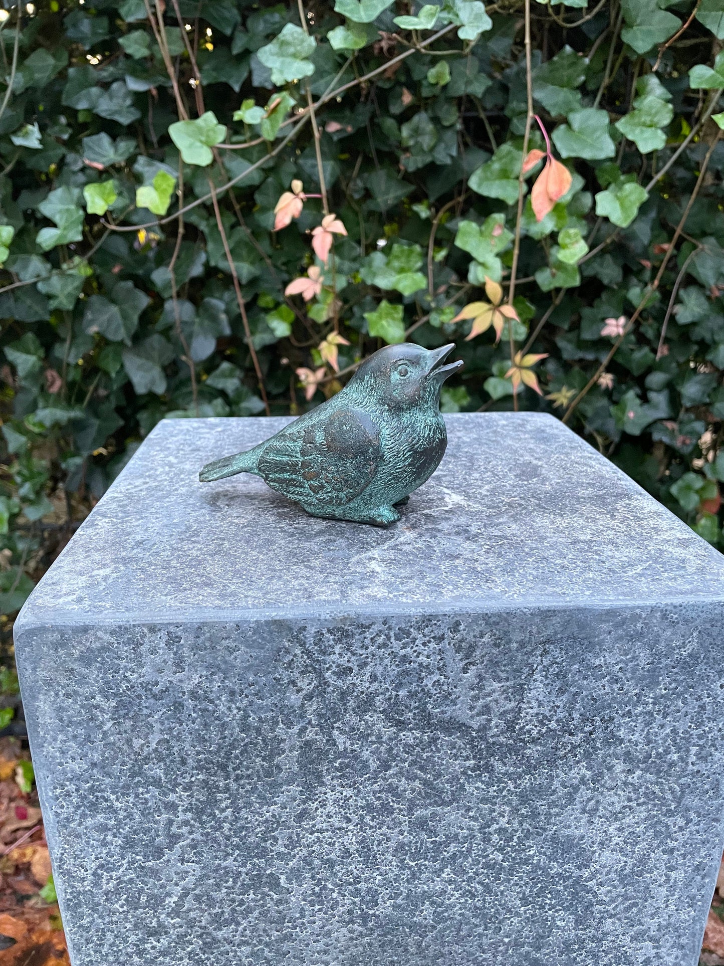 Singing Bird – Bronze Sculpture. Variations Available