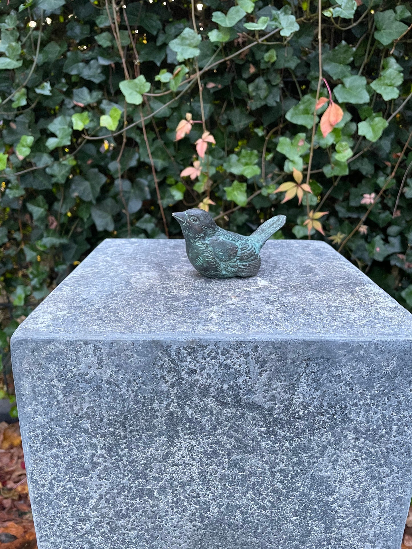 Singing Bird – Bronze Sculpture. Variations Available