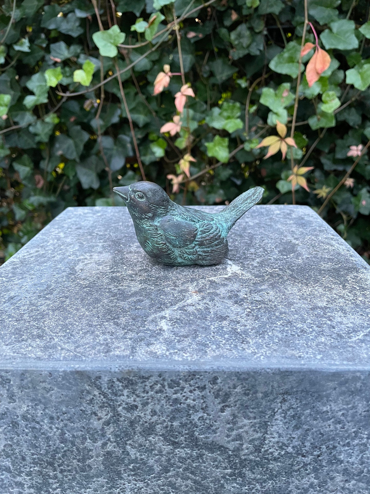 Singing Bird – Bronze Sculpture. Variations Available
