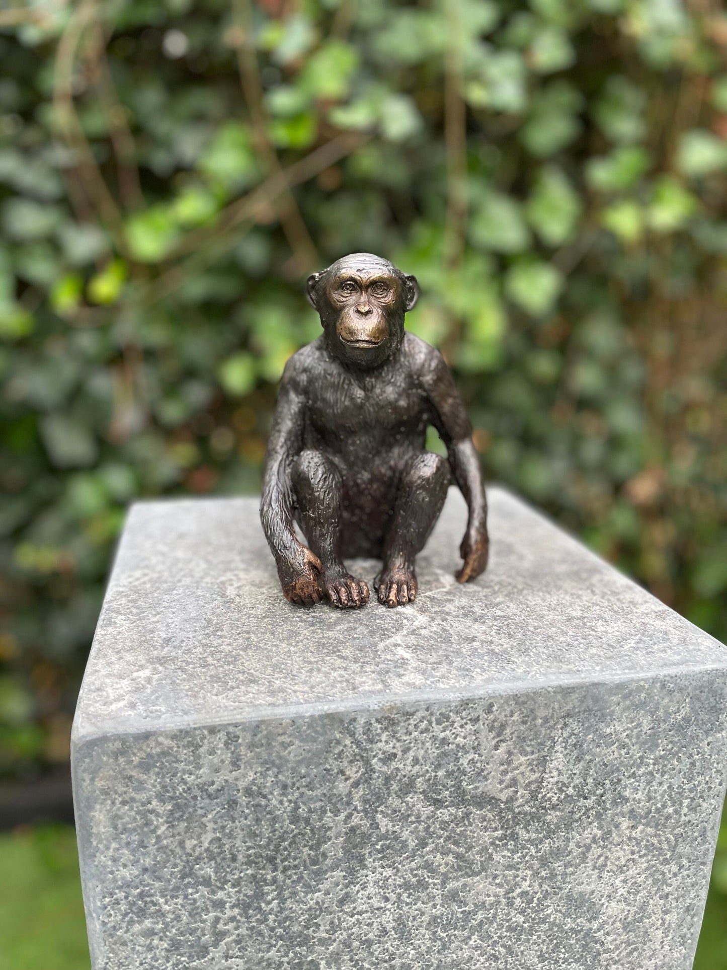 Thoughtful Monkey – Bronze Sculpture. 12x9x15cm