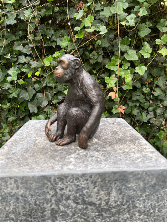Thoughtful Monkey – Bronze Sculpture. 12x9x15cm