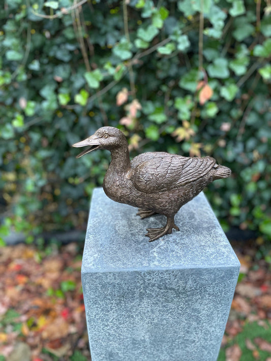 Standing Duck – Bronze Sculpture. 20x10x28cm - 1.7Kg