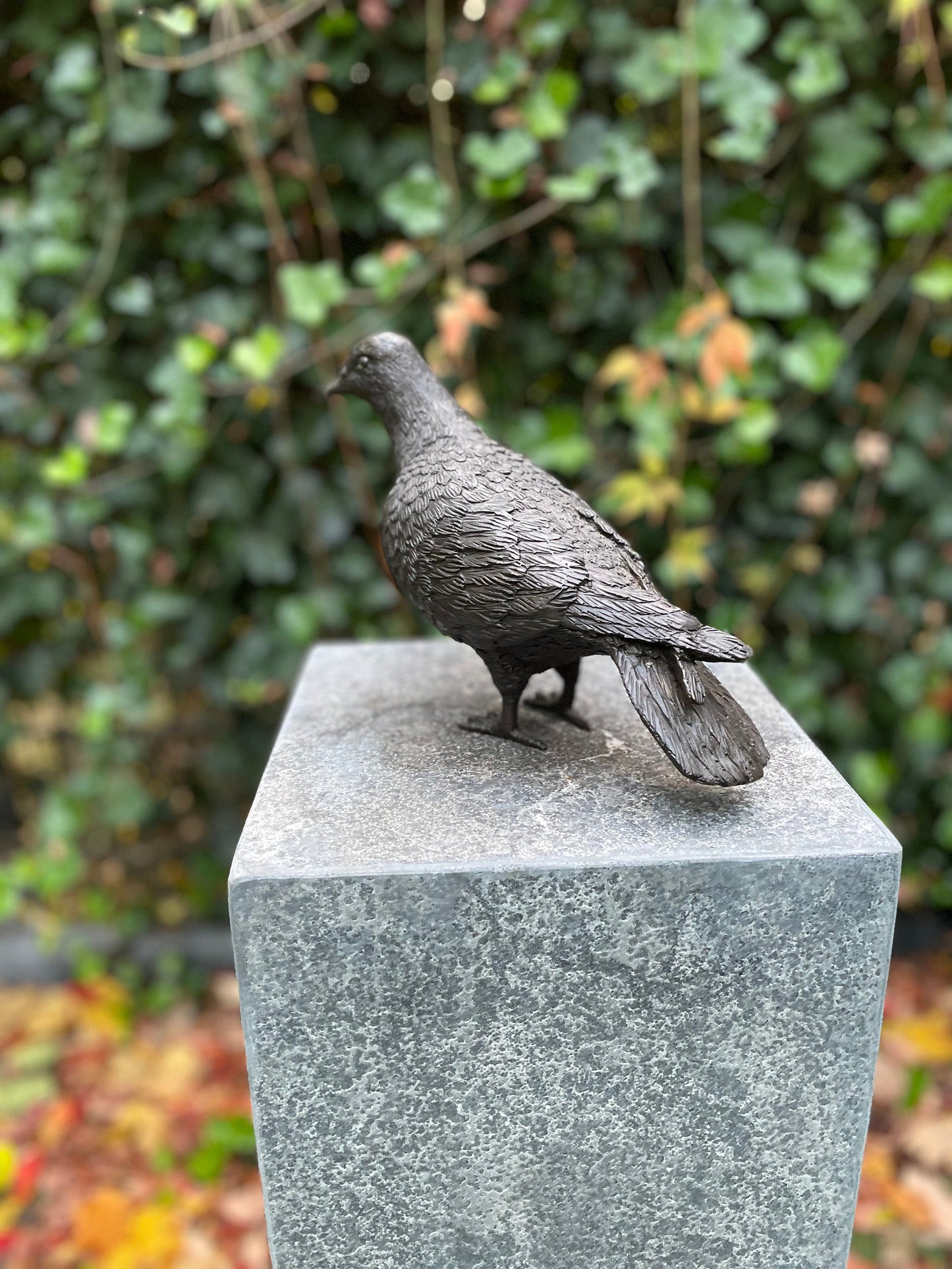 Garden Dove – Bronze Sculpture. 22x9x18cm