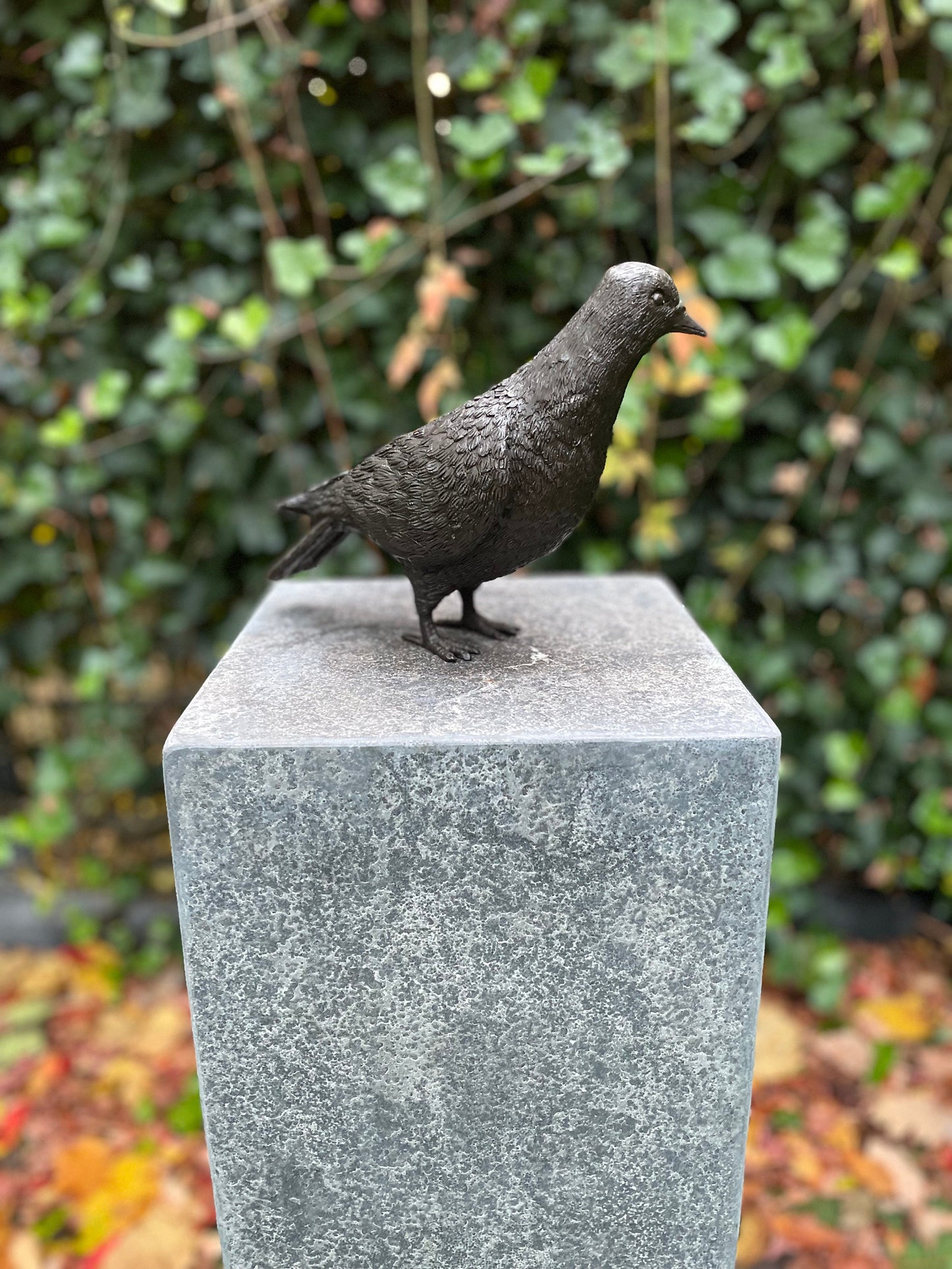 Garden Dove – Bronze Sculpture. 22x9x18cm