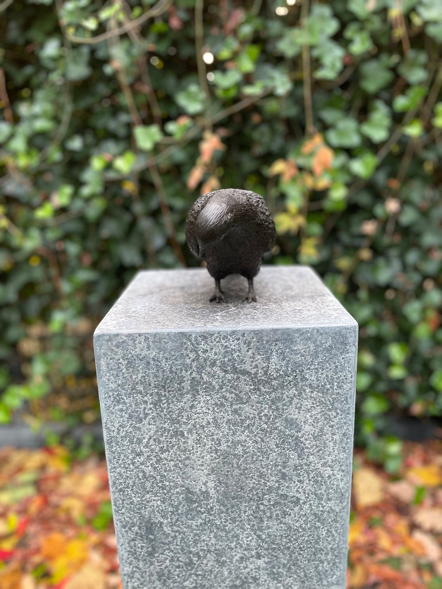 Garden Dove – Bronze Sculpture. 22x9x18cm
