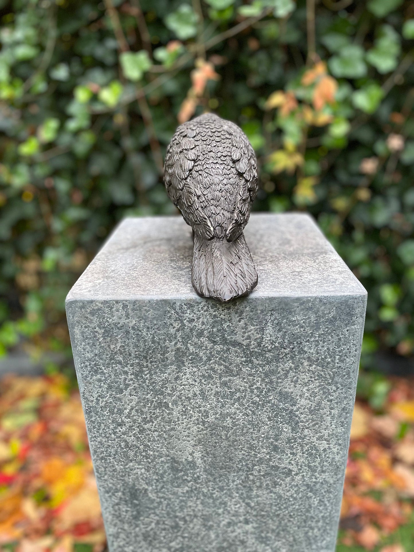 Garden Dove – Bronze Sculpture. 22x9x18cm