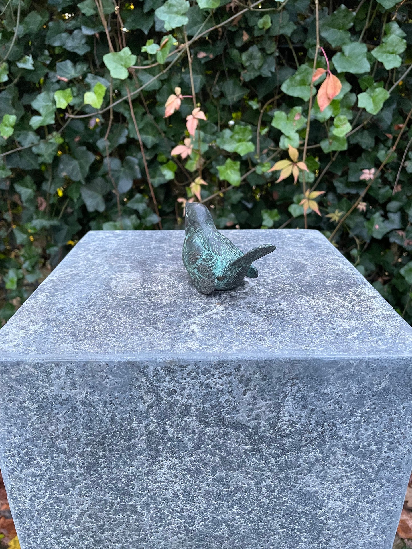 Singing Bird – Bronze Sculpture. Variations Available