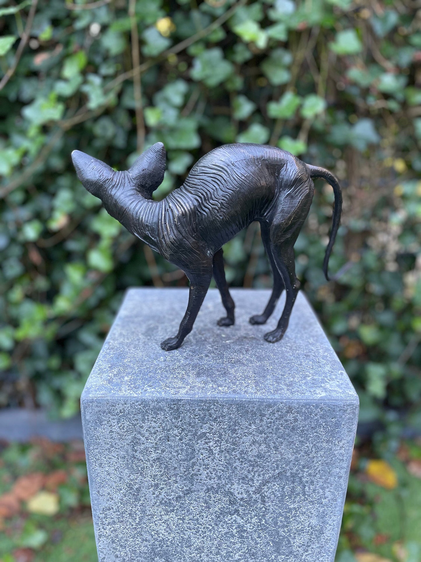 Sphynx Cat – Bronze Sculpture. 22x11x29cm - 1Kg