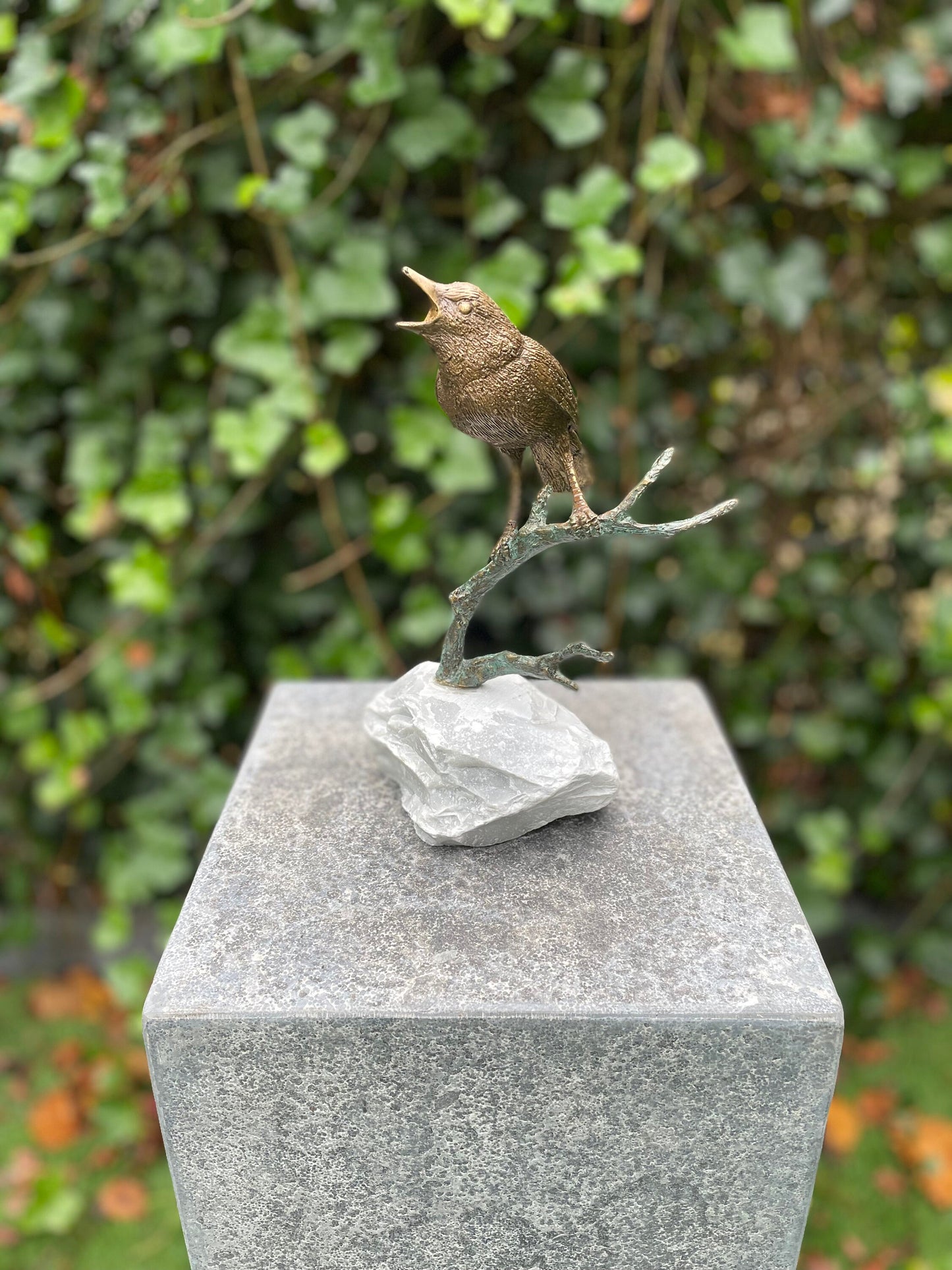 Morning Melody – Bronze Sculpture. 18x17x22cm - 1.5Kg